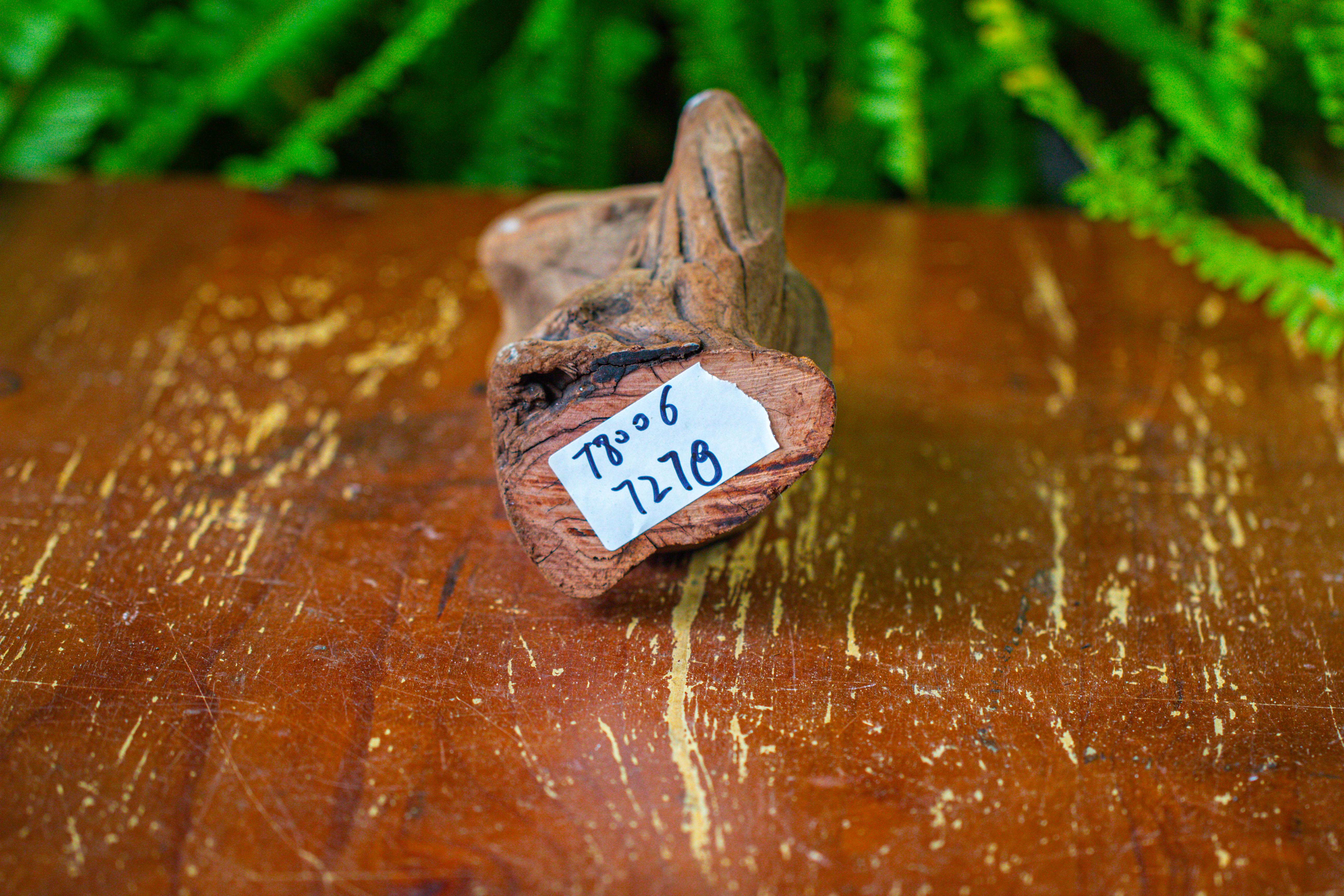 driftwood for moss terrarium, miniature, micro landscape,T8006 - NCYPgarden