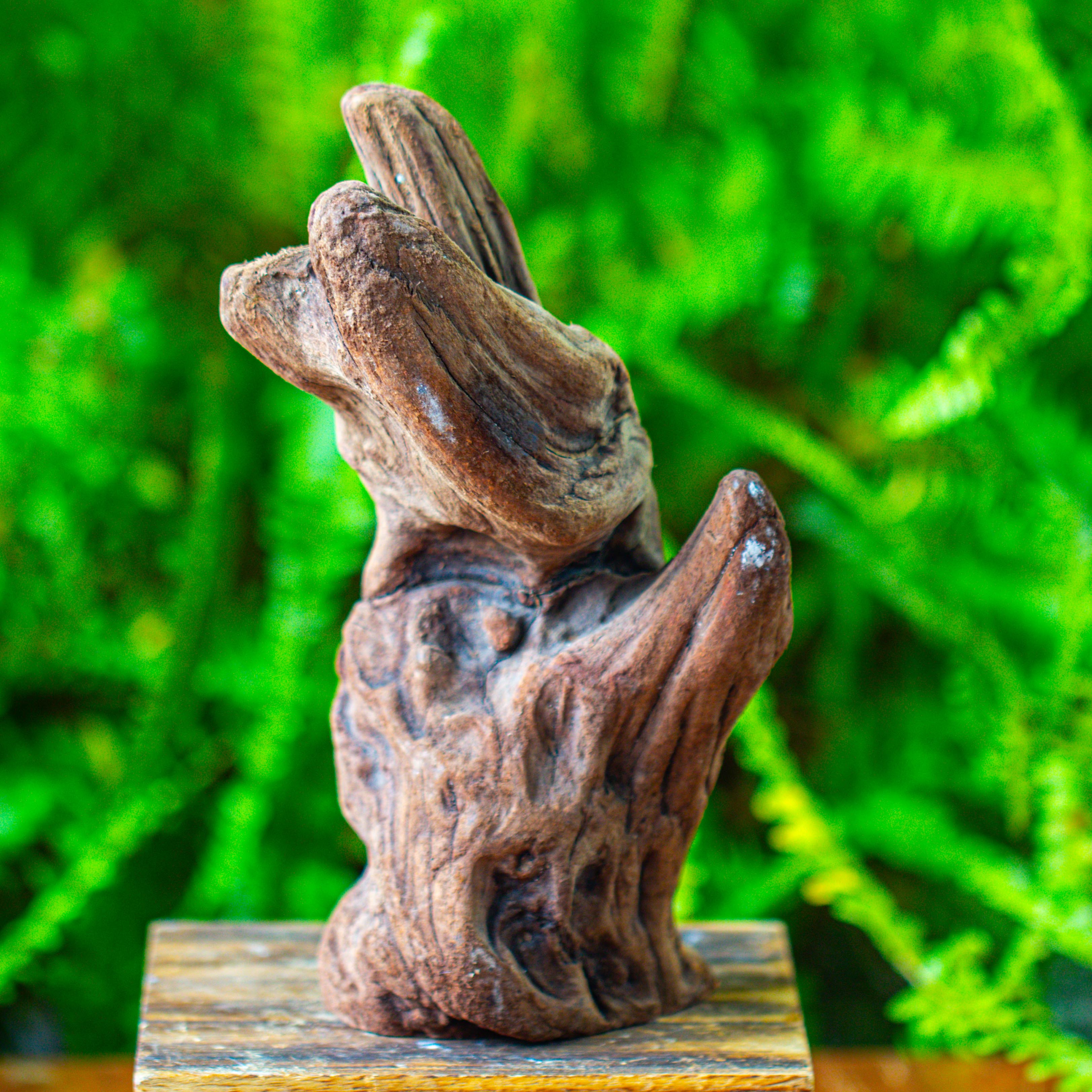 driftwood for moss terrarium, miniature, micro landscape,T8006 - NCYPgarden