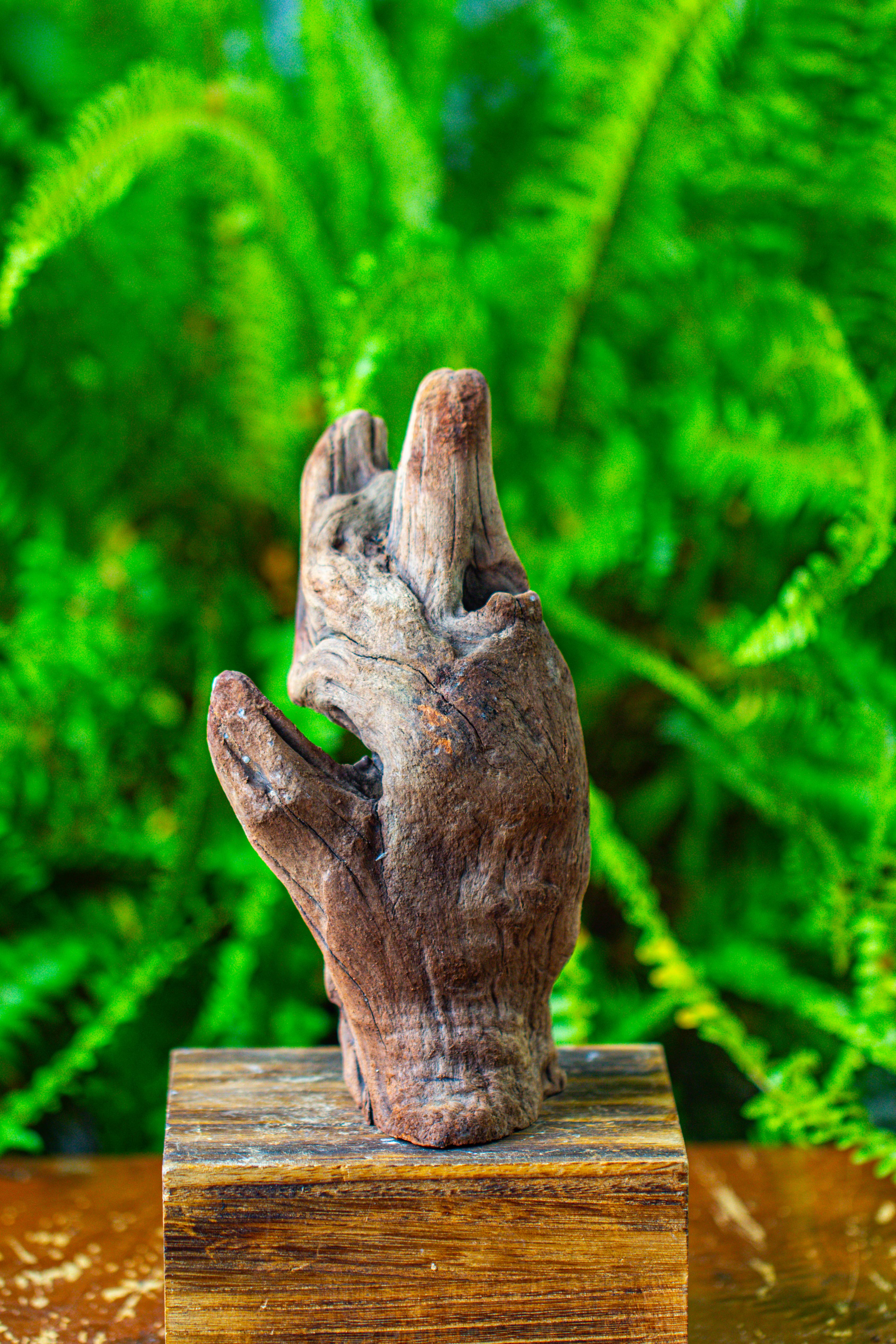 driftwood for moss terrarium, miniature, micro landscape,T8006 - NCYPgarden