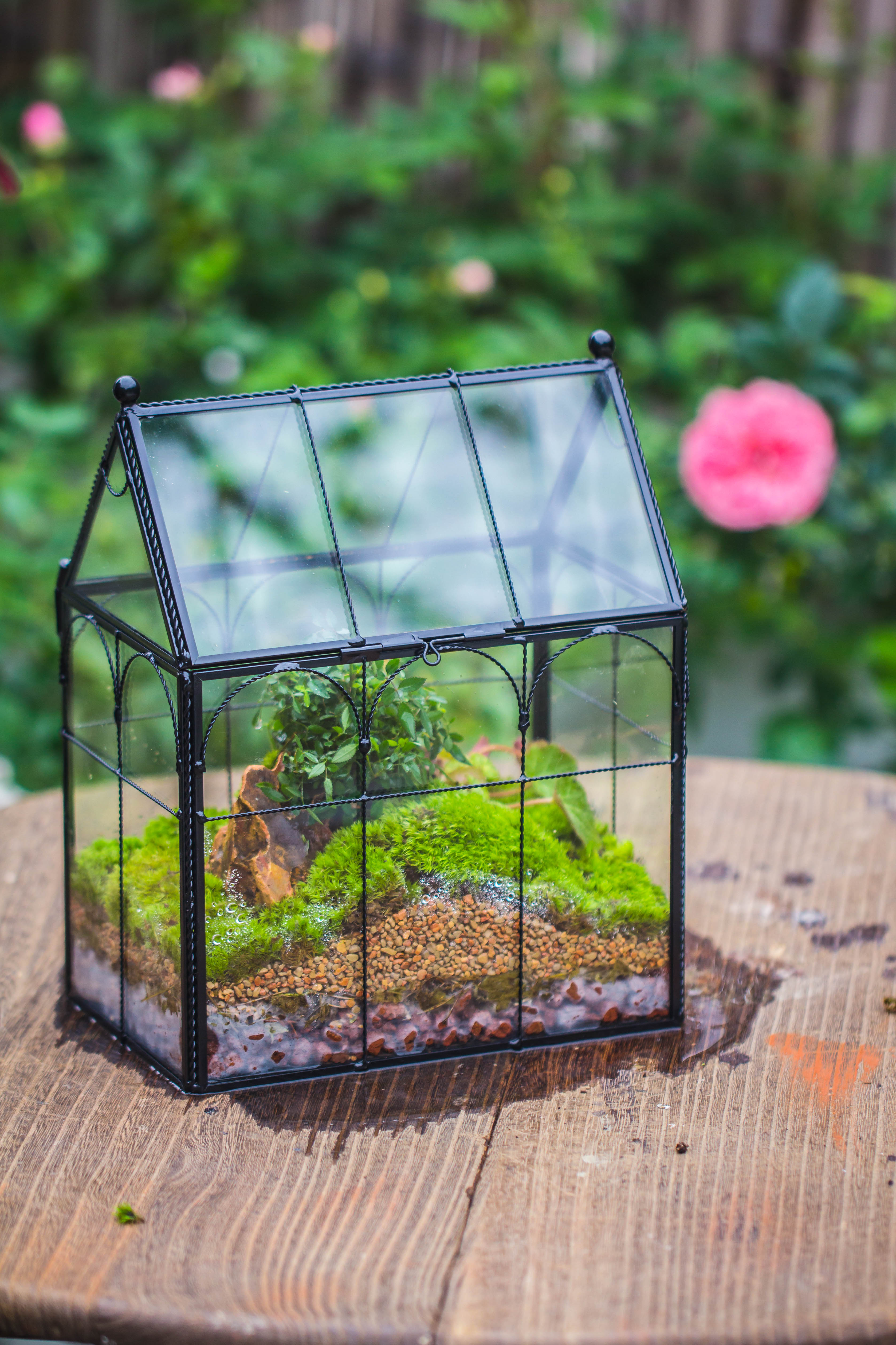 NCYP Tall Glass Geometric Terrarium Brass Twisted Brass Wire Decorated Black Vintage House Shape for Insect Snail Moss Succulents Cacti Air Plant - NCYPgarden