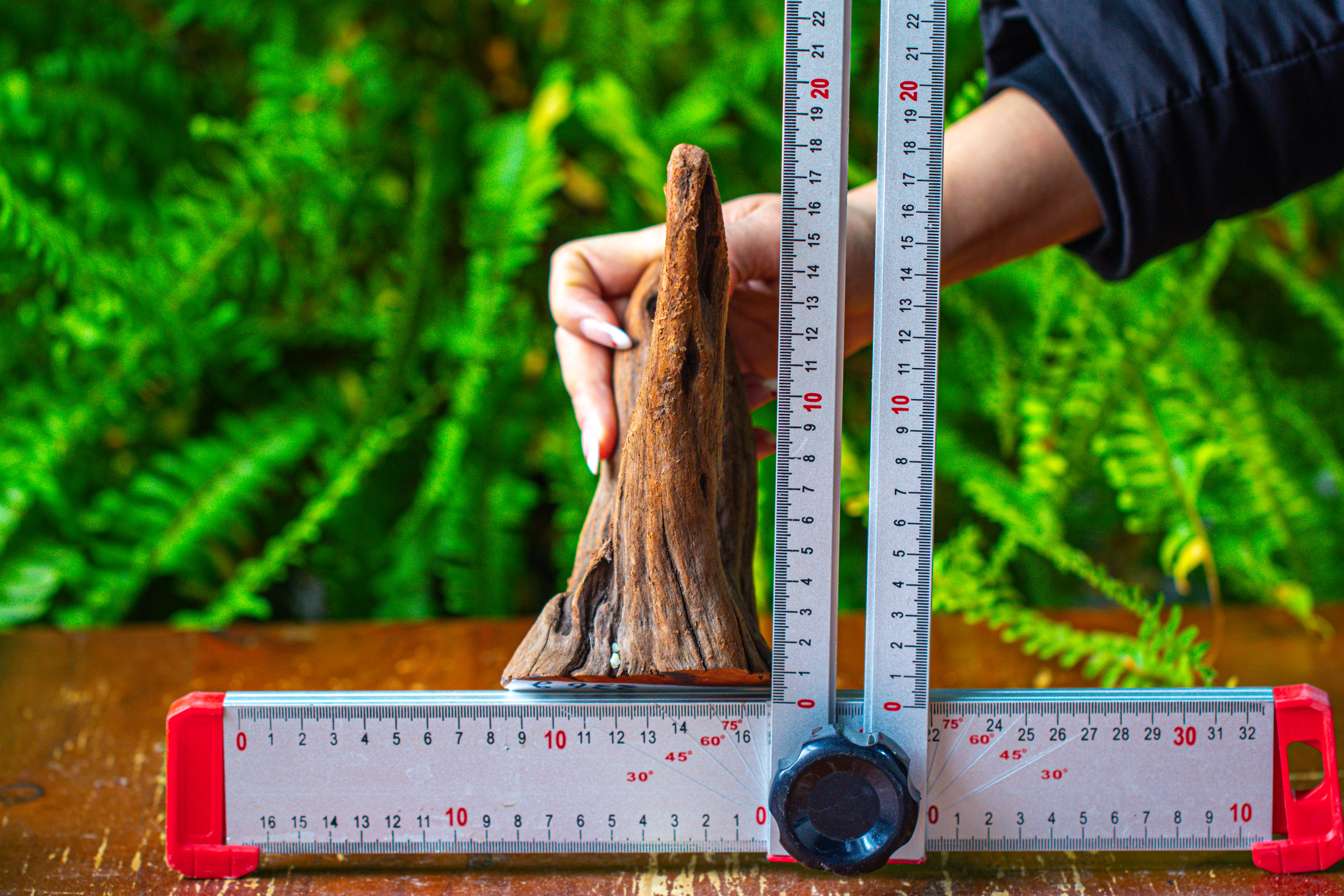 driftwood for moss terrarium, miniature, micro landscape,T8016 - NCYPgarden