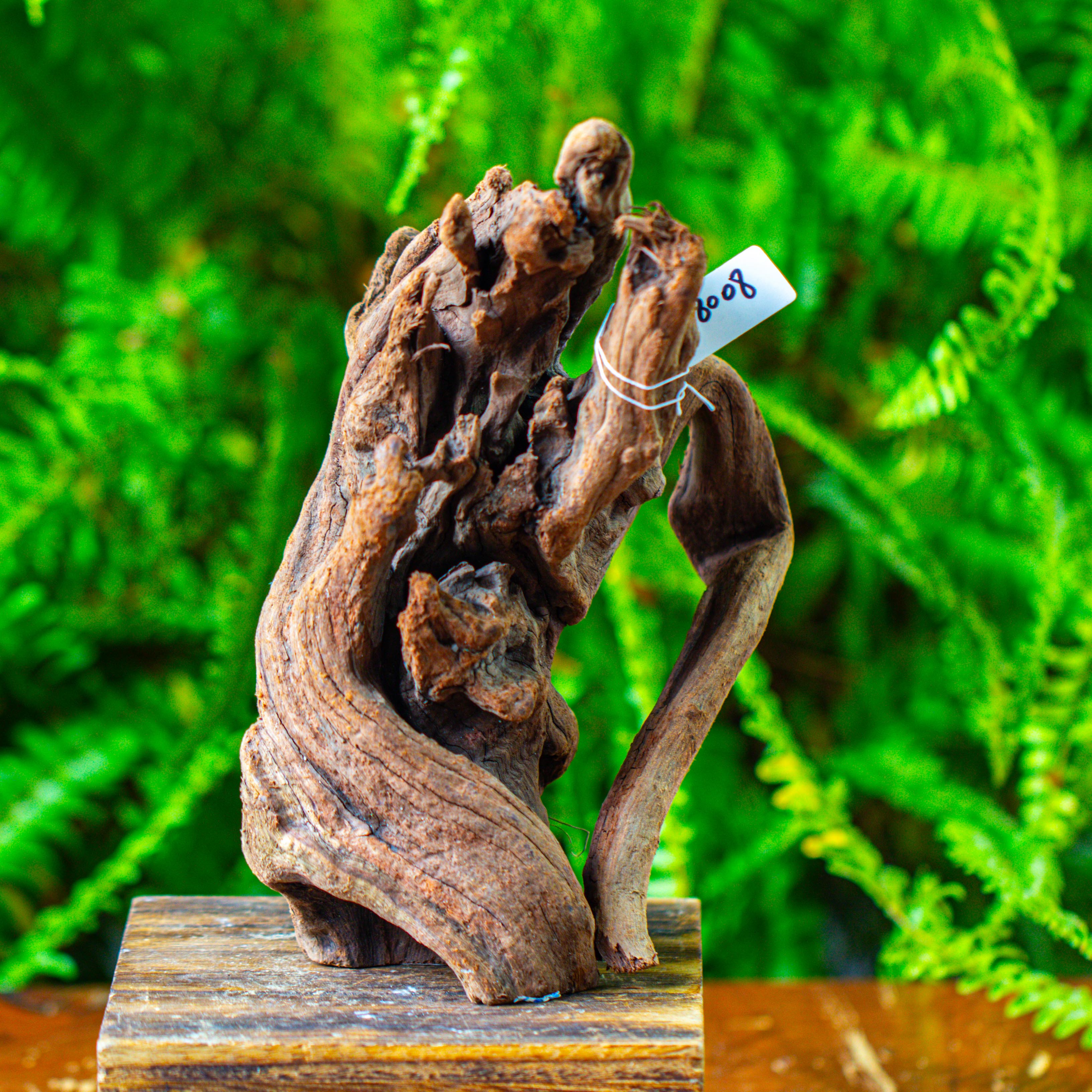 driftwood for moss terrarium, miniature, micro landscape,T8008 - NCYPgarden