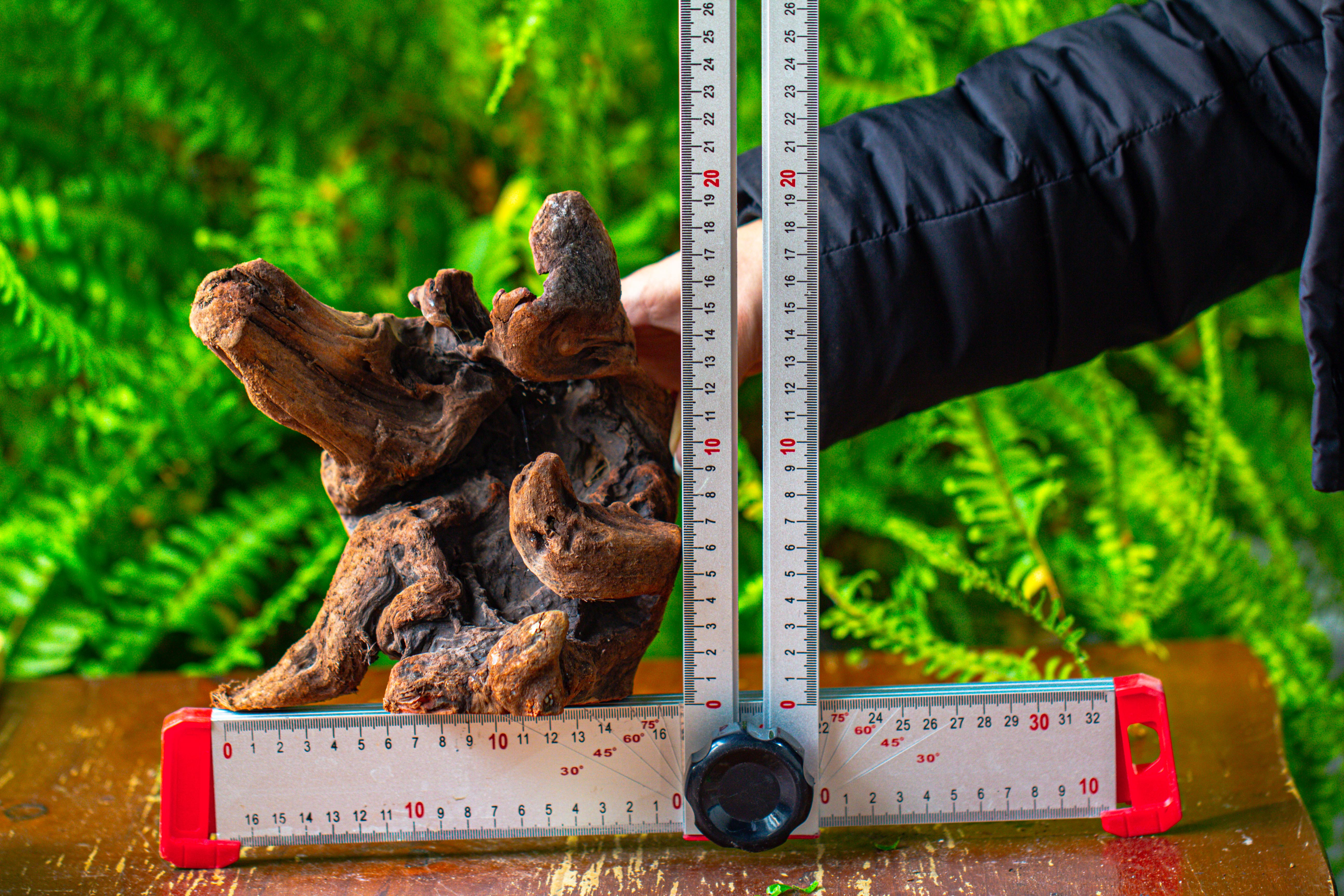 driftwood for moss terrarium, miniature, micro landscape,T8012 - NCYPgarden