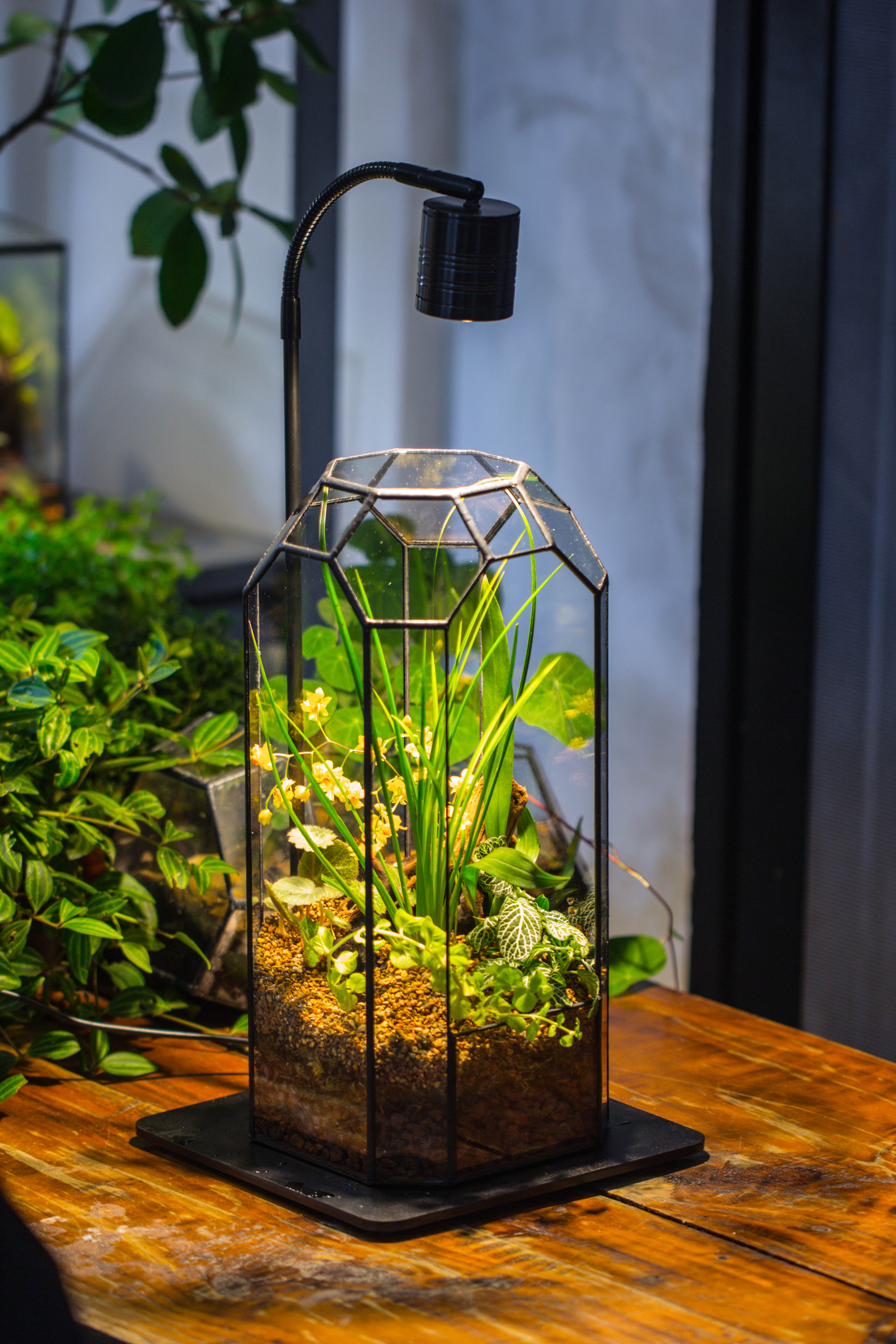 Vintage Tall Octagon Geometric Tin Glass Terrarium , 12.6" , open, suitable for tall plants, orchid, small begonia Pitcher, Micro landscape - NCYPgarden