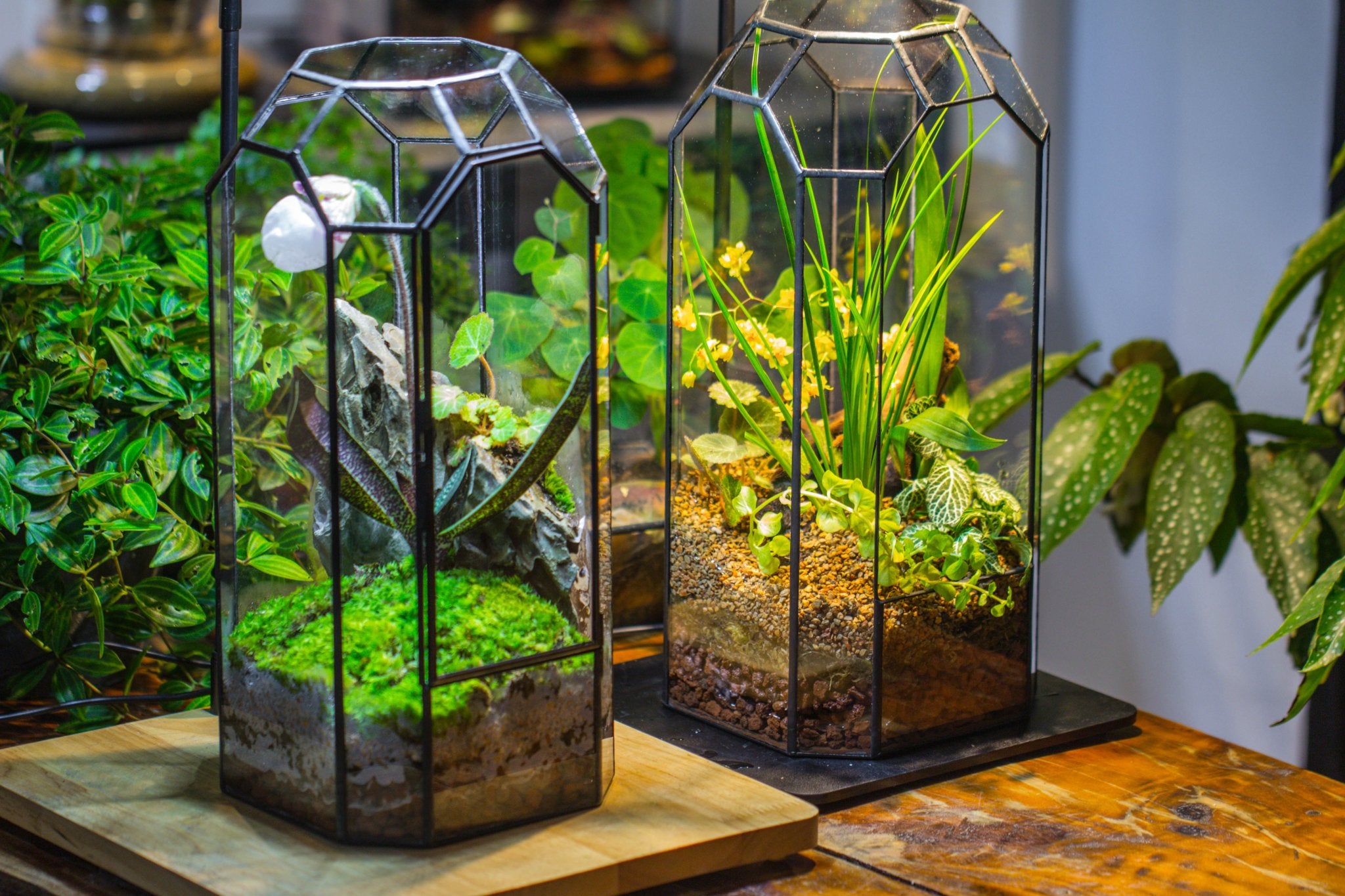 Vintage Tall Octagon Geometric Tin Glass Terrarium , 12.6" , close, suitable for tall plants, orchid, small begonia Pitcher, Micro landscape - with white light set - NCYPgarden