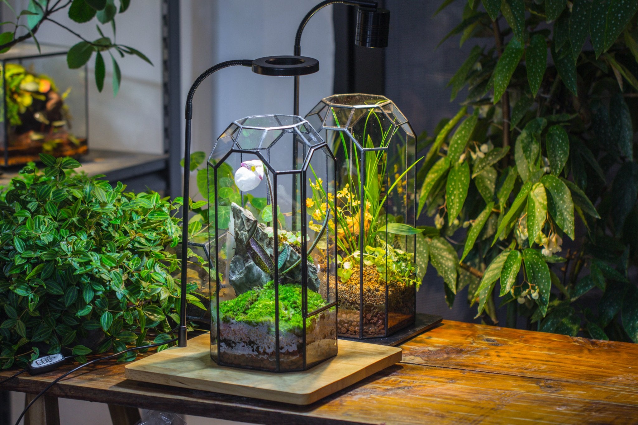 Vintage Tall Octagon Geometric Tin Glass Terrarium , 12.6" , close, suitable for tall plants, orchid, small begonia Pitcher, Micro landscape PG05B2 - NCYPgarden