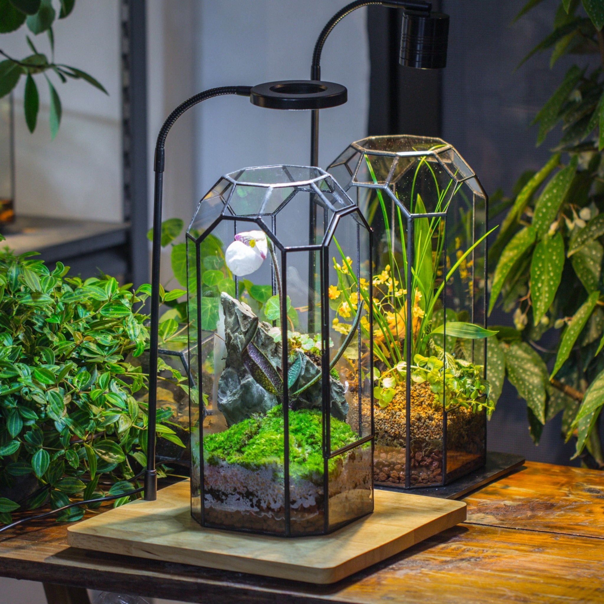 Vintage Tall Octagon Geometric Tin Glass Terrarium , 12.6" , close, suitable for tall plants, orchid, small begonia Pitcher, Micro landscape - with white light set - NCYPgarden