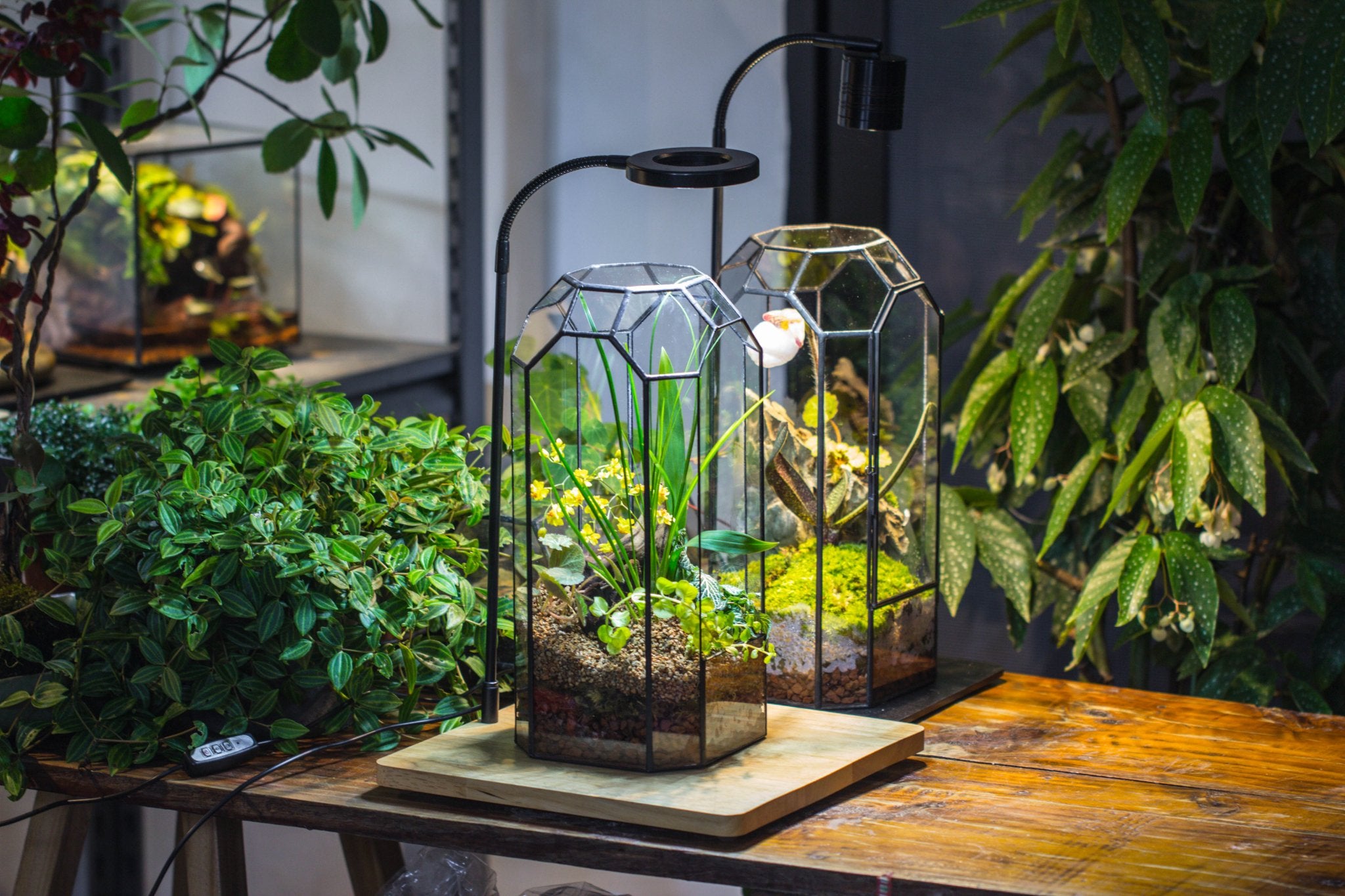 Vintage Tall Octagon Geometric Tin Glass Terrarium , 12.6" , close, suitable for tall plants, orchid, small begonia Pitcher, Micro landscape - with white light set - NCYPgarden