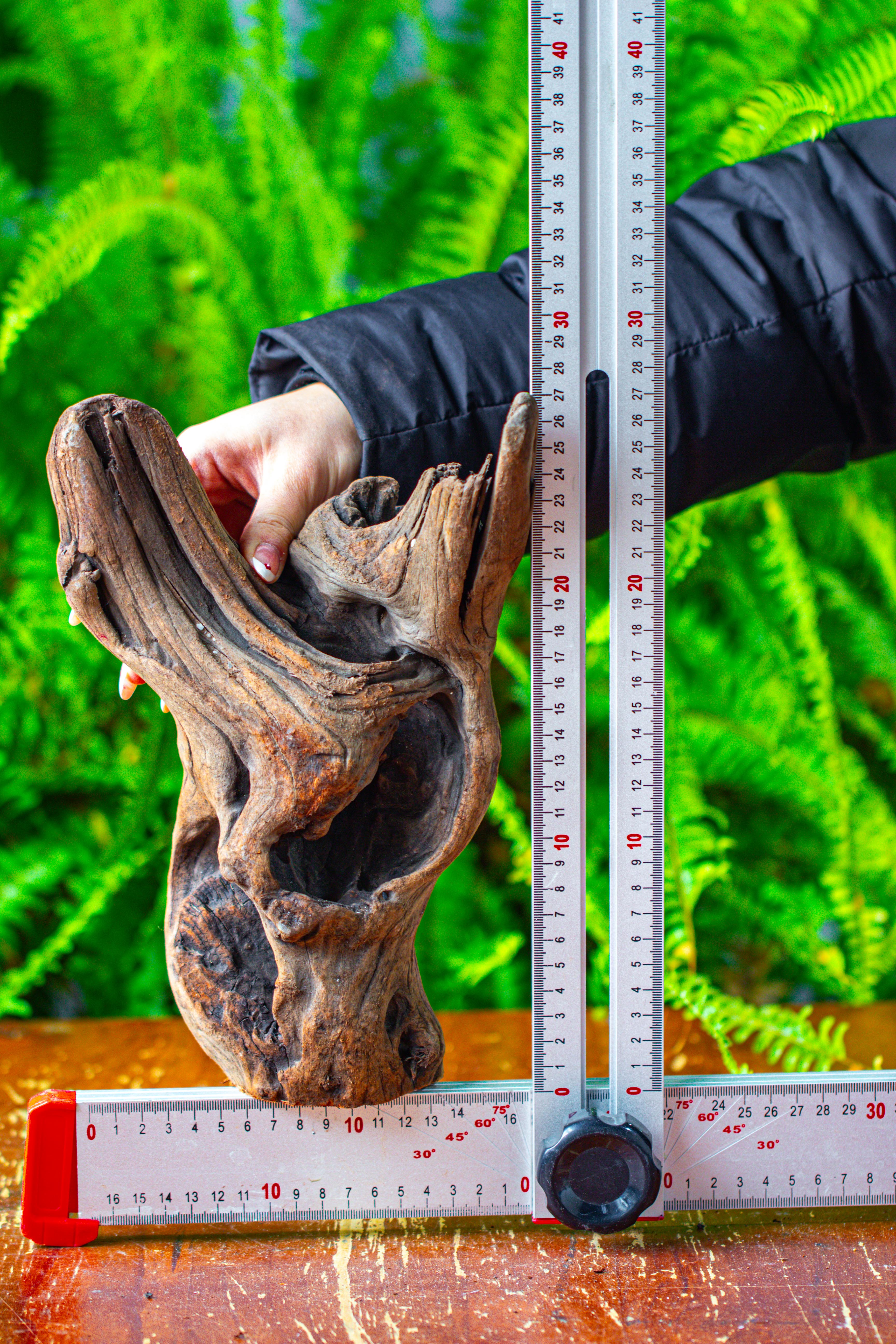 driftwood for moss terrarium, miniature, micro landscape,T8007 - NCYPgarden