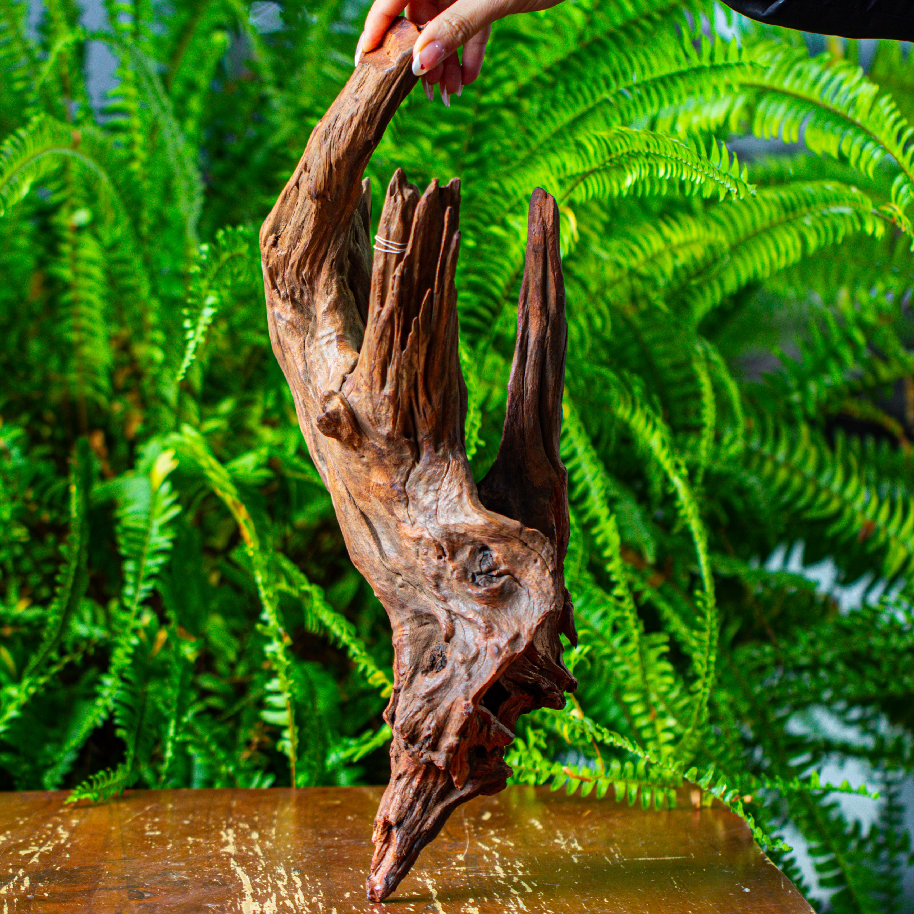 driftwood for moss terrarium, miniature, micro landscape, H8001 - NCYPgarden