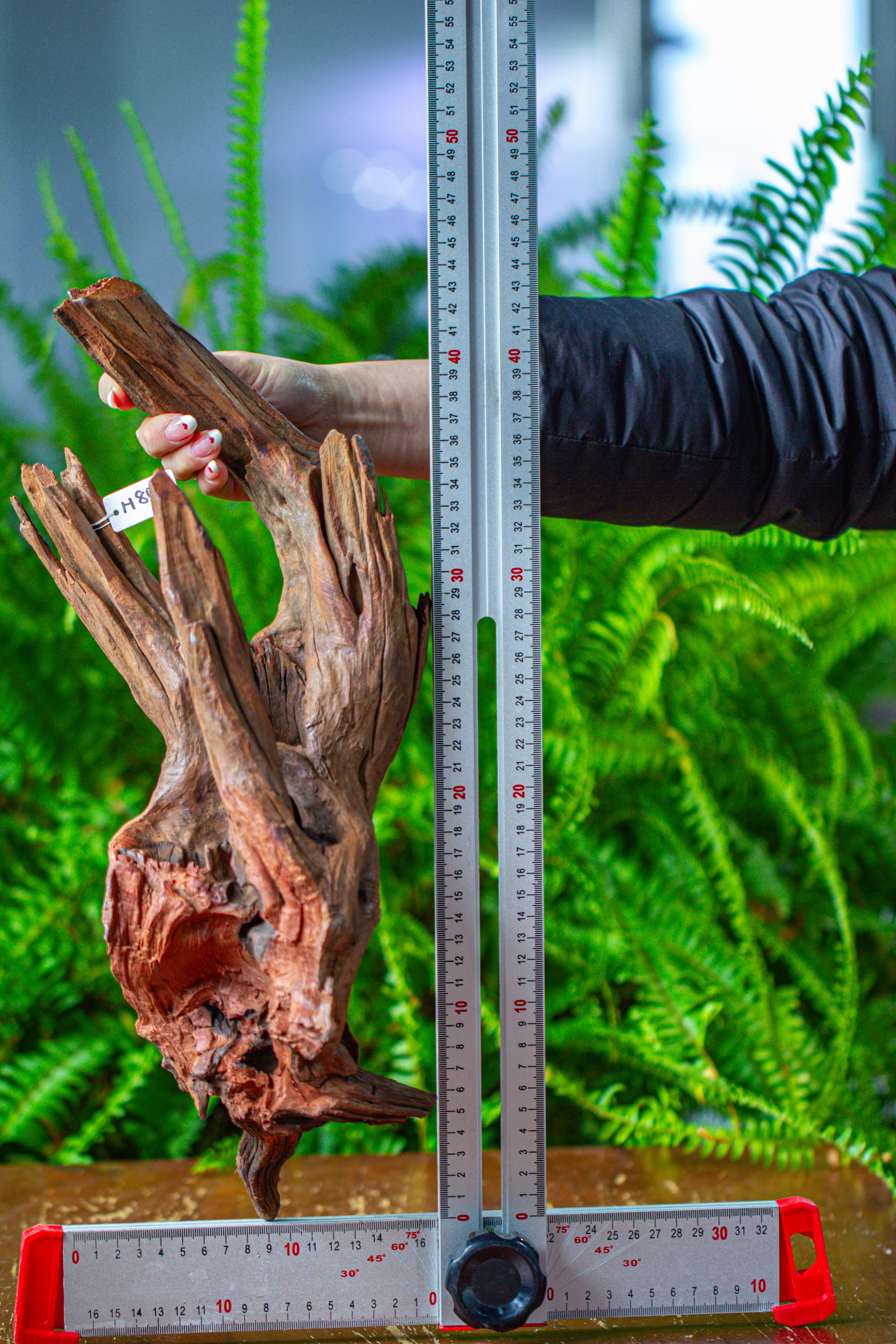 driftwood for moss terrarium, miniature, micro landscape, H8001 - NCYPgarden