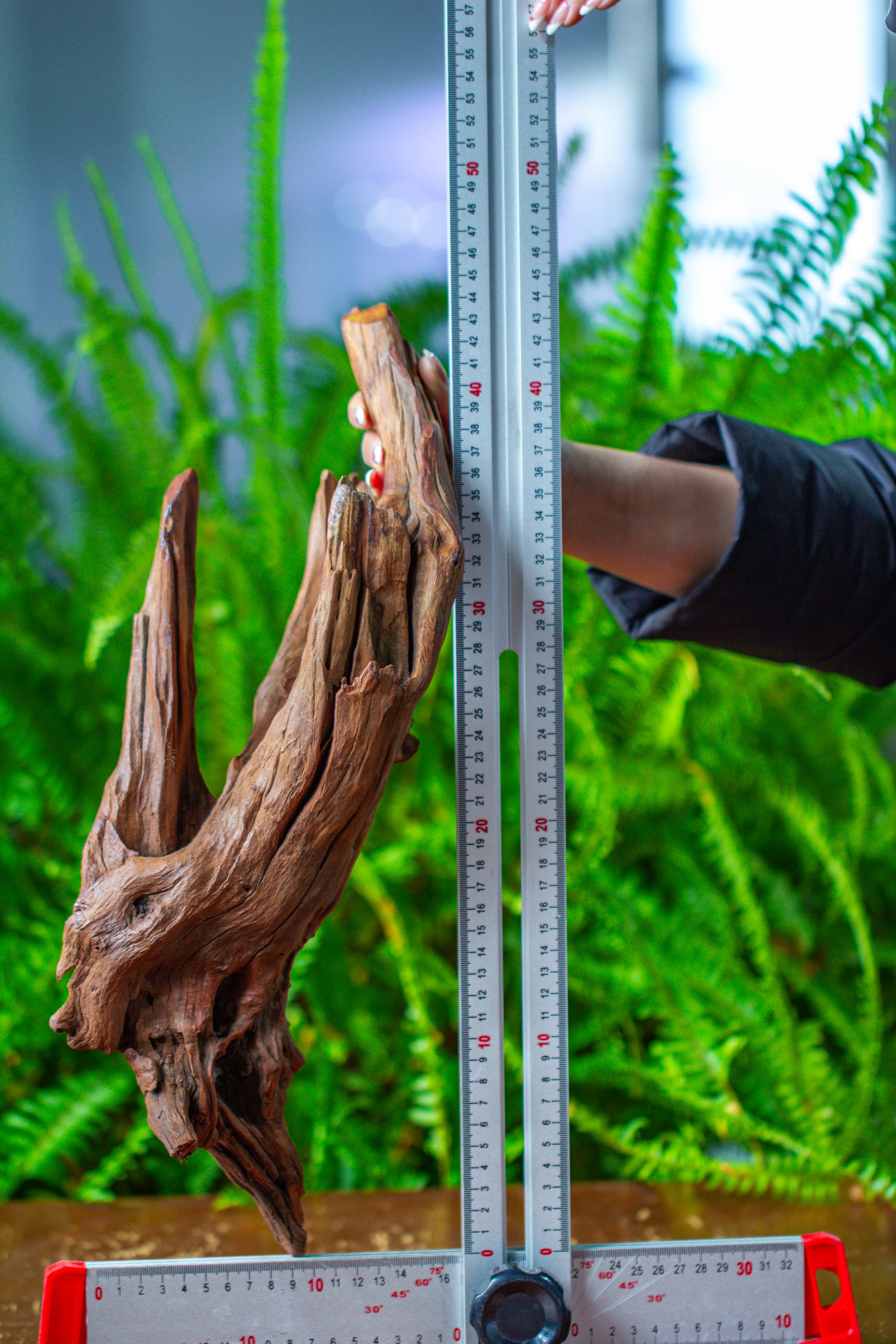 driftwood for moss terrarium, miniature, micro landscape, H8001 - NCYPgarden
