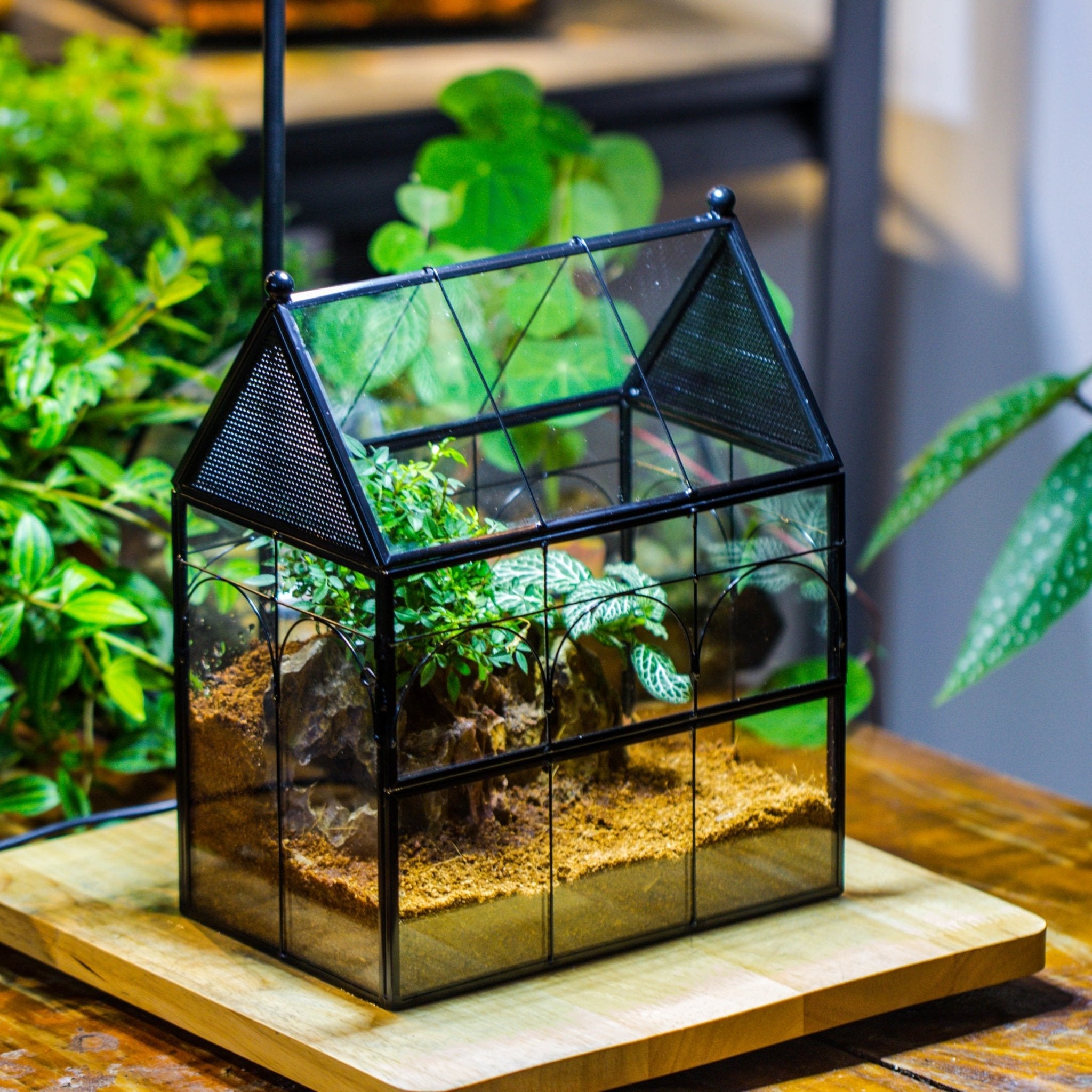 NCYP Vintage House Shape Glass Geometric Terrarium building set, with side door, with Mesh / vent holes for Insects Pet - NCYPgarden