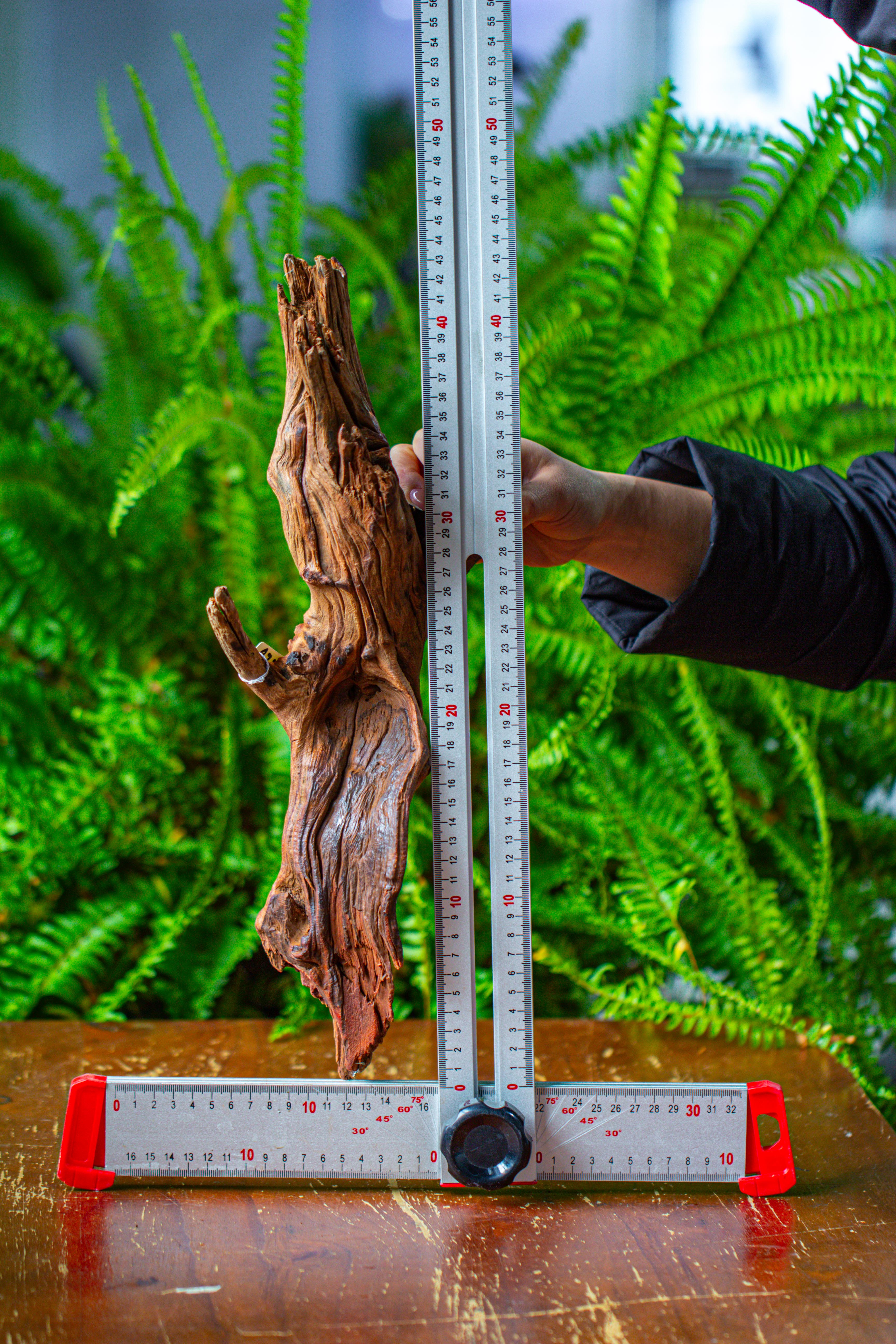 driftwood for moss terrarium, miniature, micro landscape, H8005 - NCYPgarden