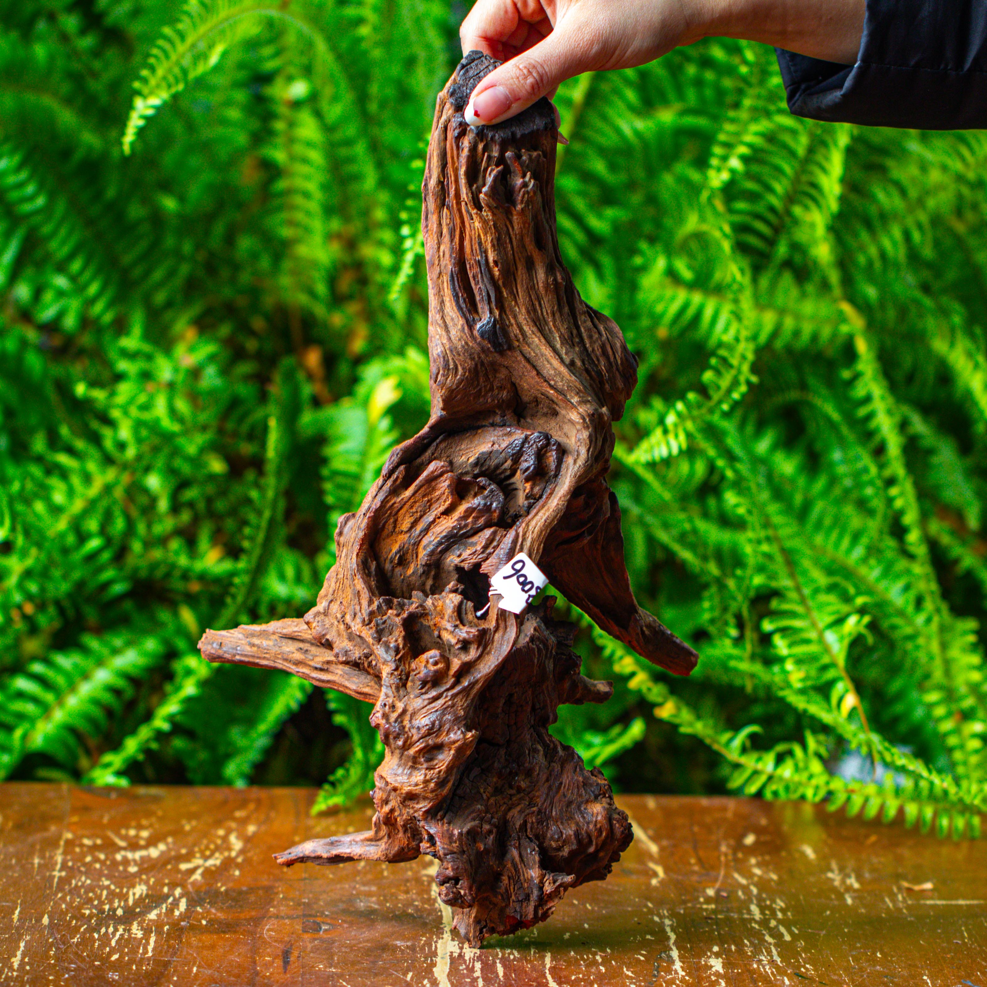 driftwood for moss terrarium, miniature, micro landscape, H8006 - NCYPgarden