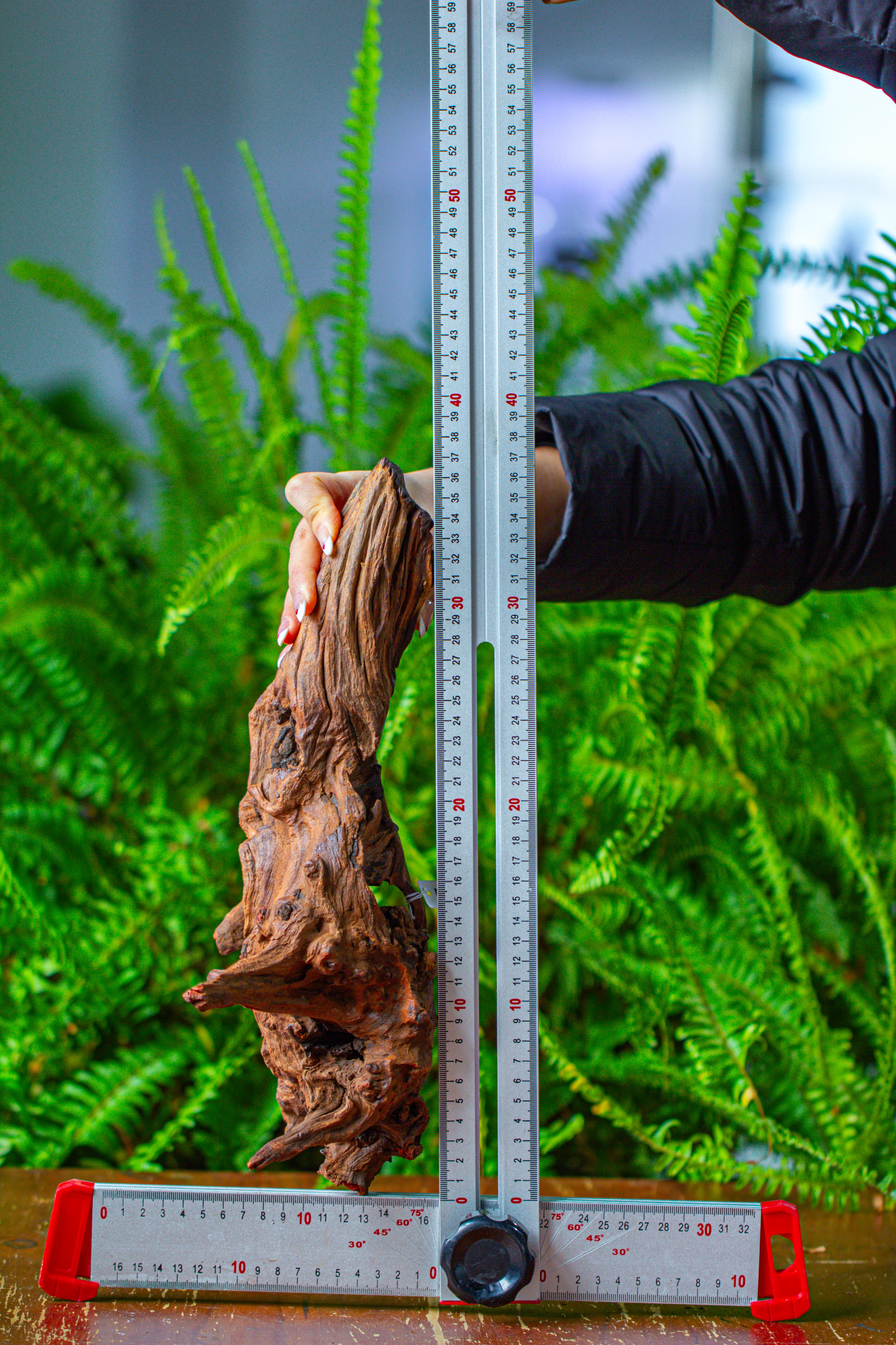 driftwood for moss terrarium, miniature, micro landscape, H8006 - NCYPgarden