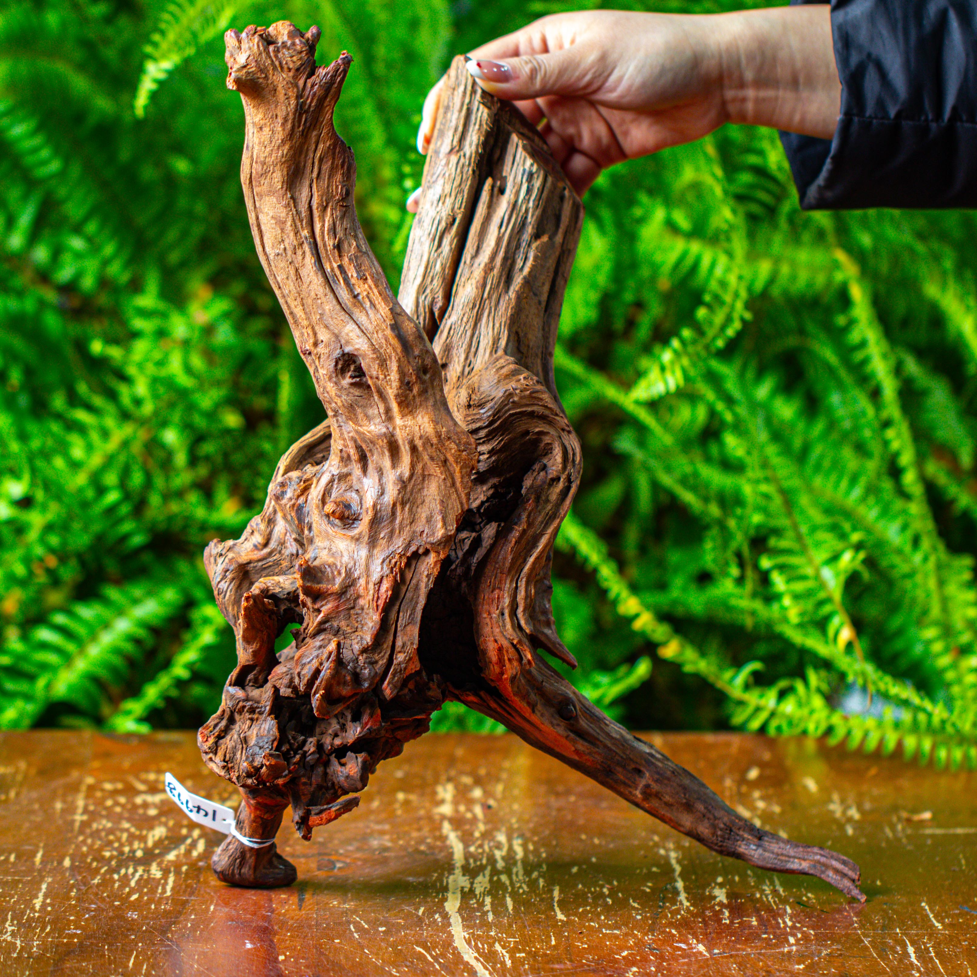 driftwood for moss terrarium, miniature, micro landscape, H8007 - NCYPgarden