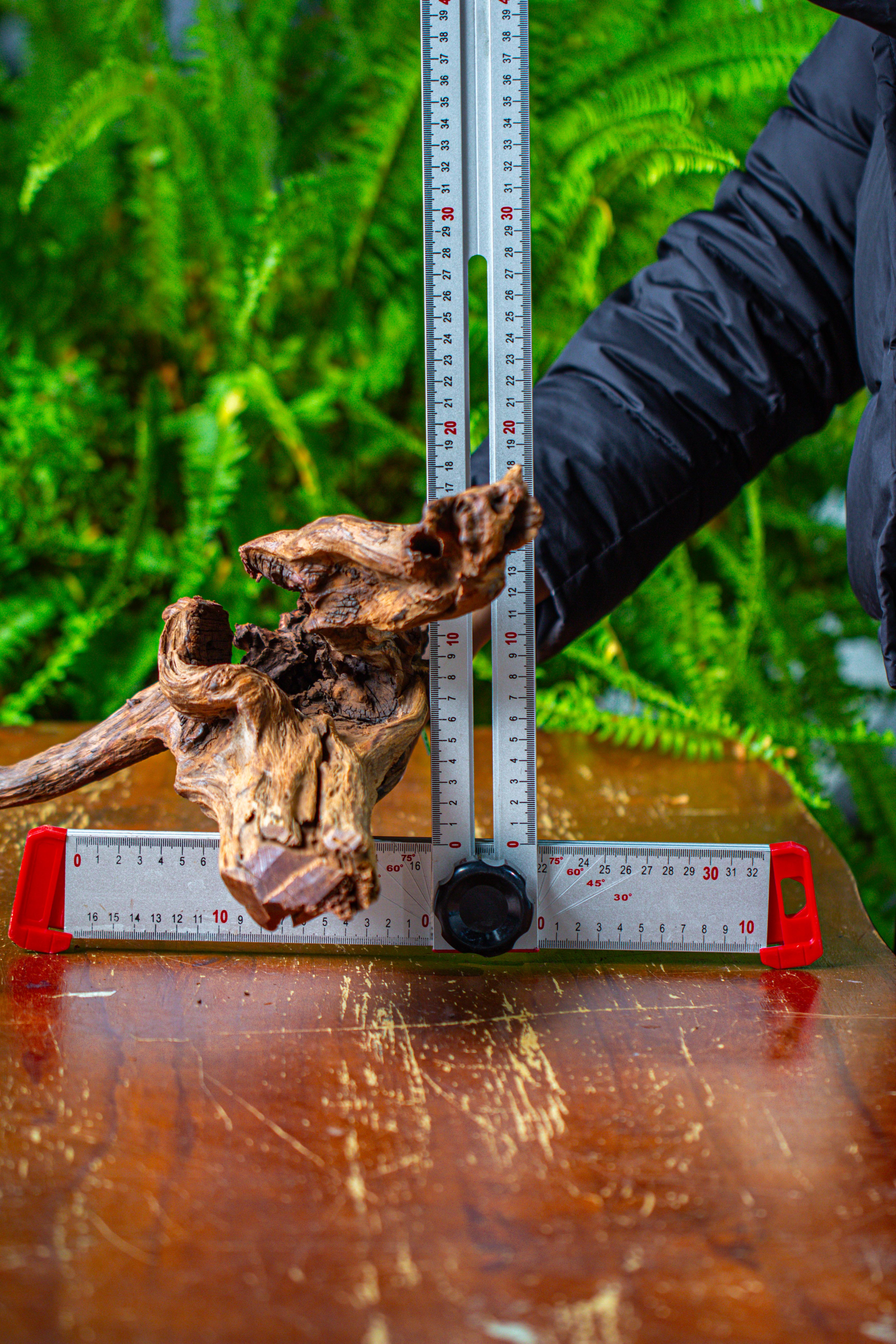 driftwood for moss terrarium, miniature, micro landscape, H8007 - NCYPgarden