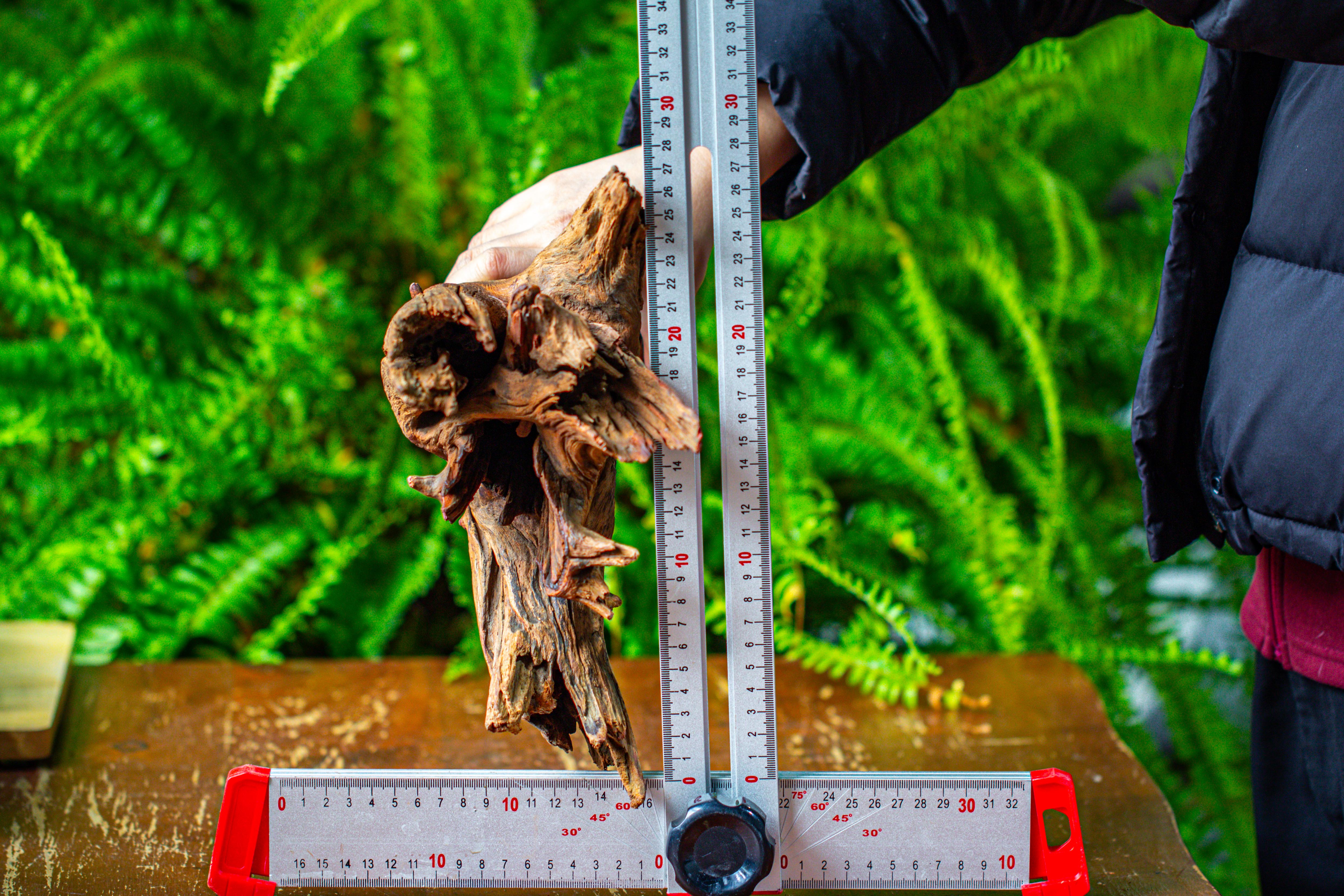 driftwood for moss terrarium, miniature, micro landscape, H8004 - NCYPgarden