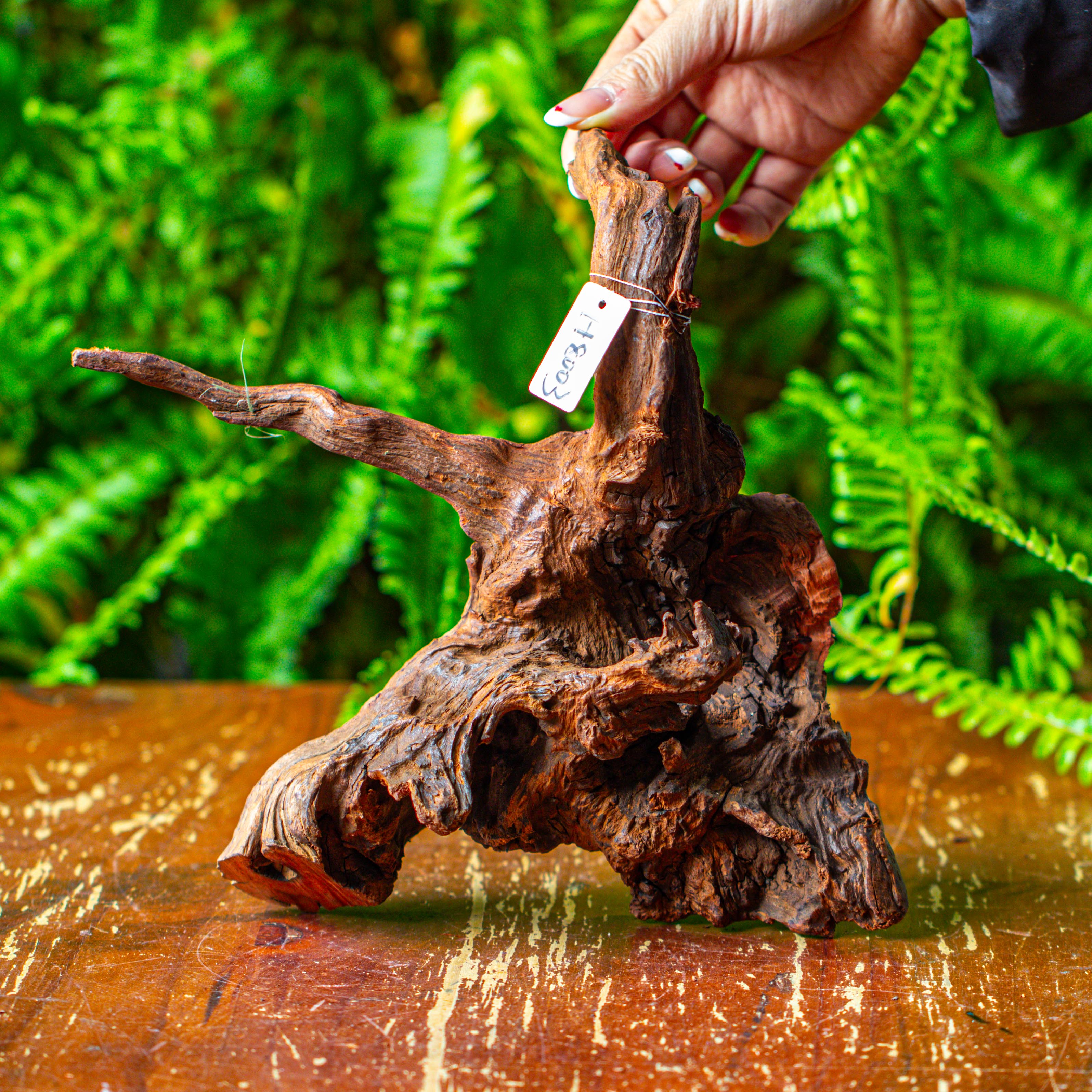 driftwood for moss terrarium, miniature, micro landscape, H8003 - NCYPgarden