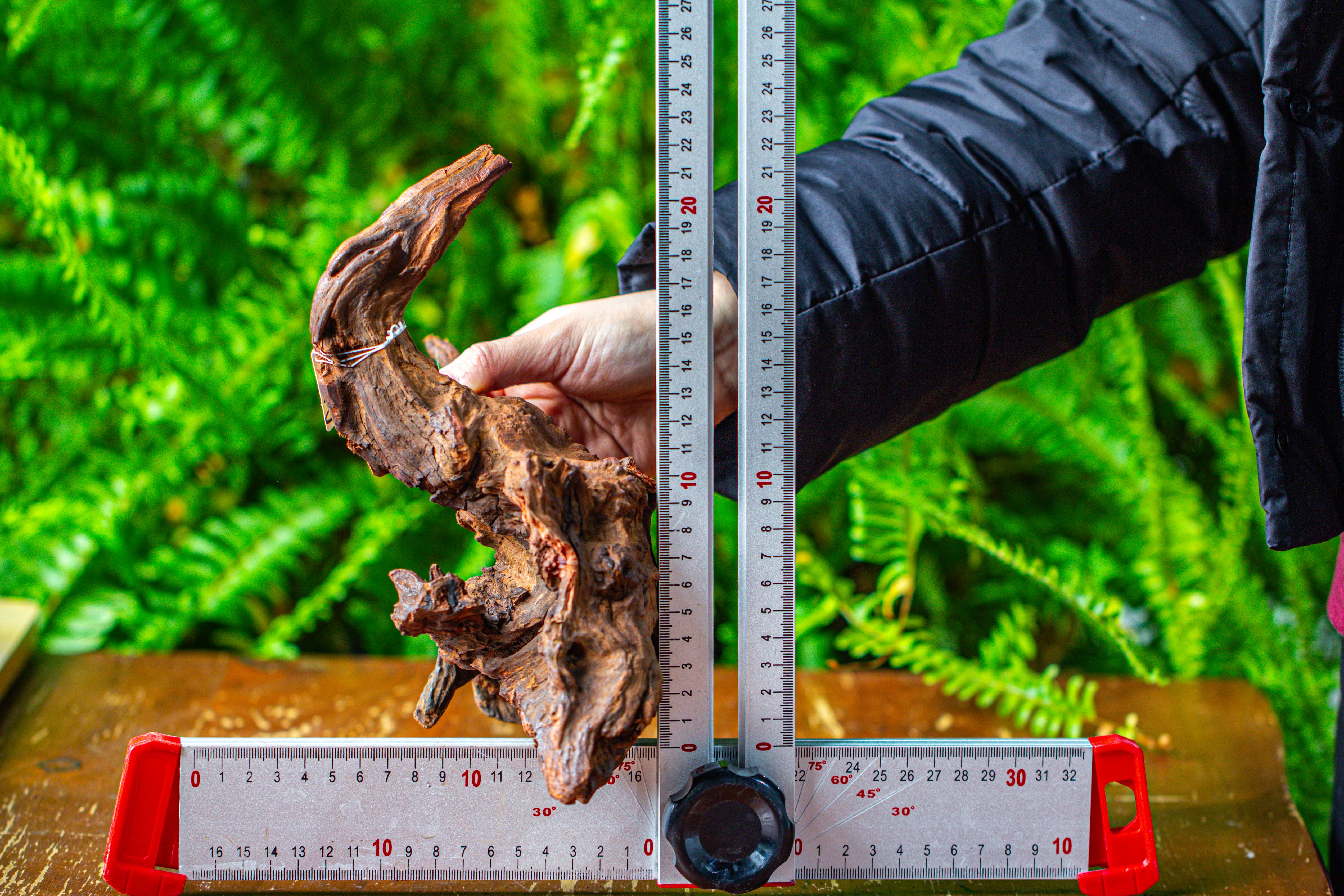 driftwood for moss terrarium, miniature, micro landscape, H8003 - NCYPgarden