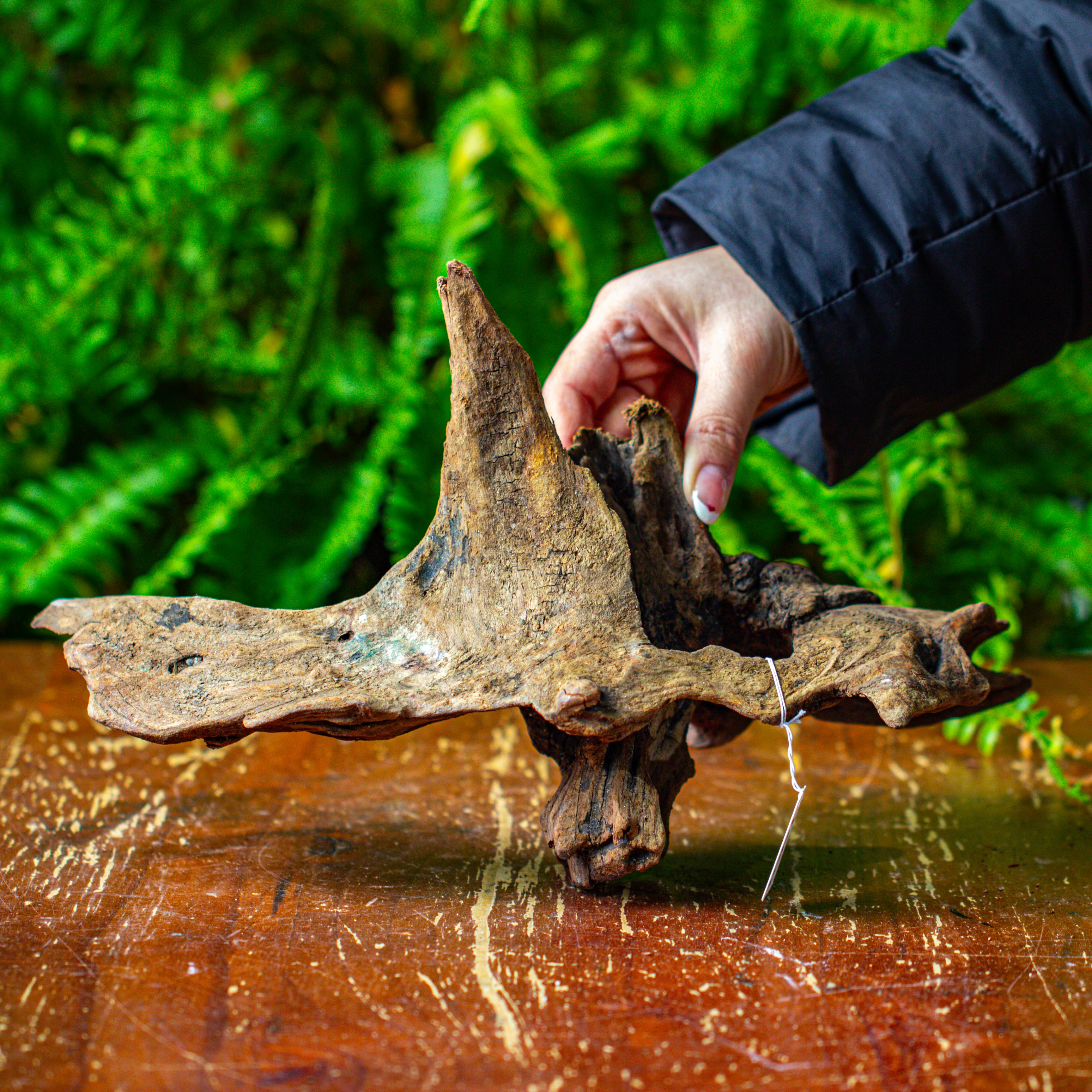 driftwood for moss terrarium, miniature, micro landscape,TS011 - NCYPgarden