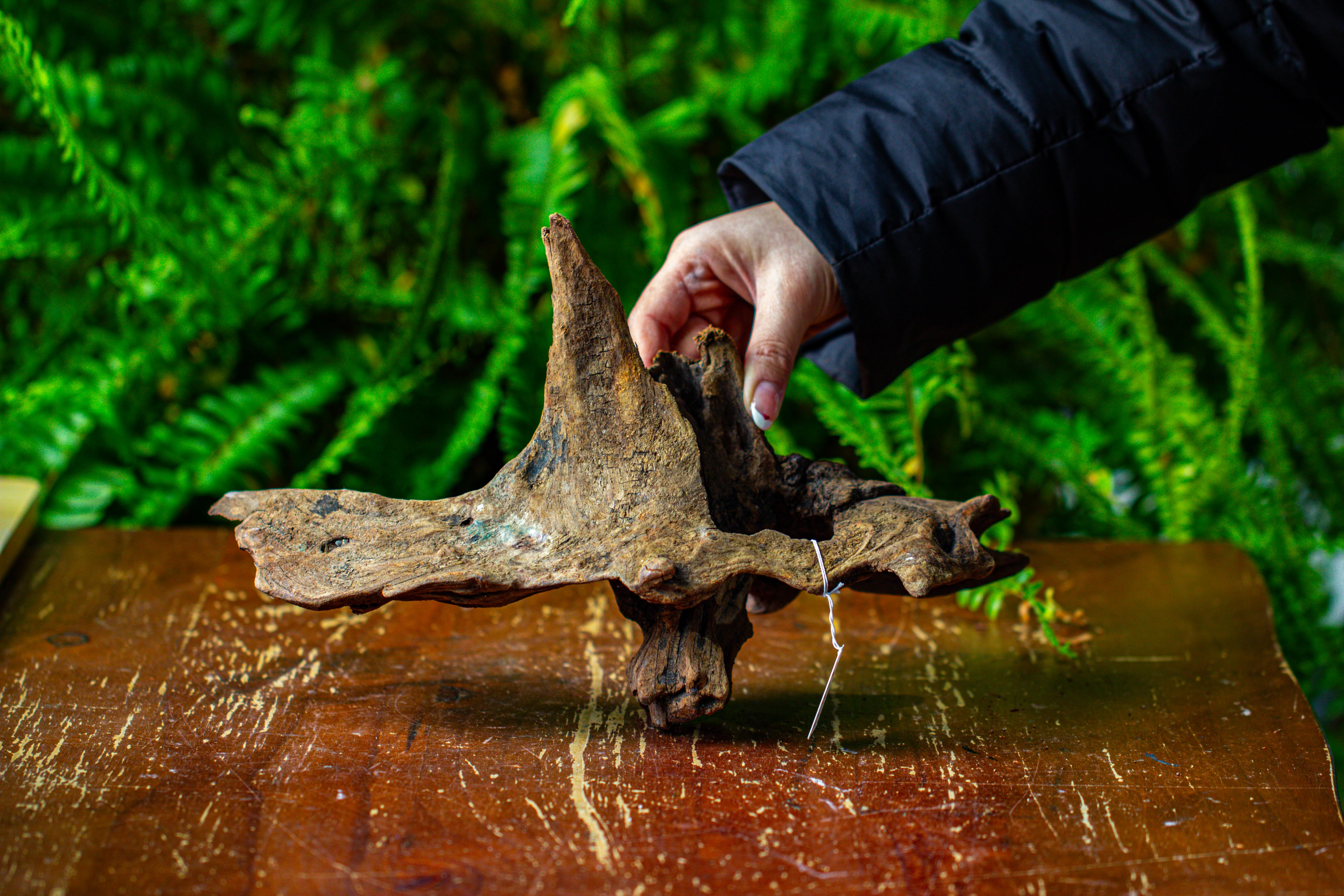 driftwood for moss terrarium, miniature, micro landscape,TS011 - NCYPgarden