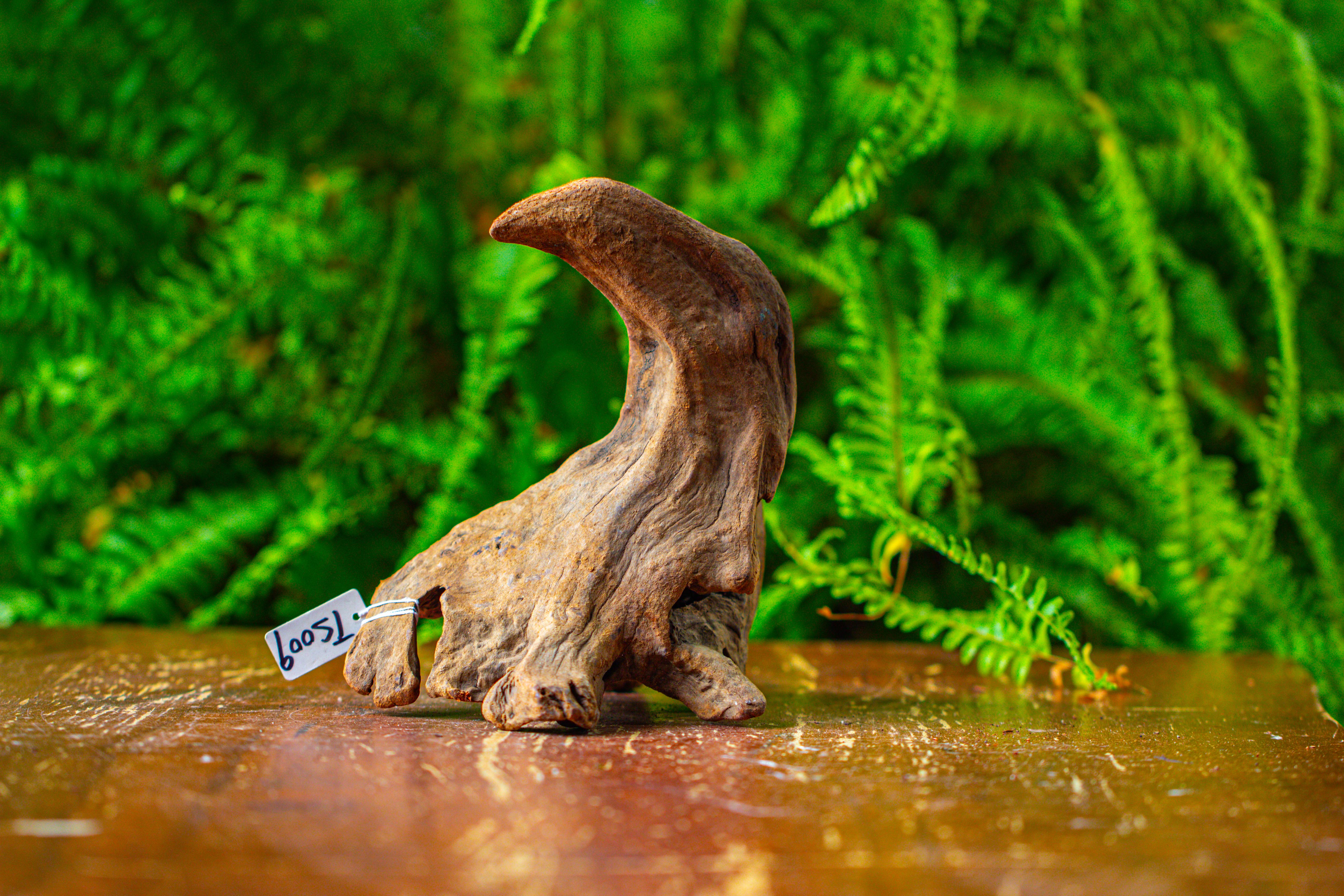 driftwood for moss terrarium, miniature, micro landscape,TS009 - NCYPgarden