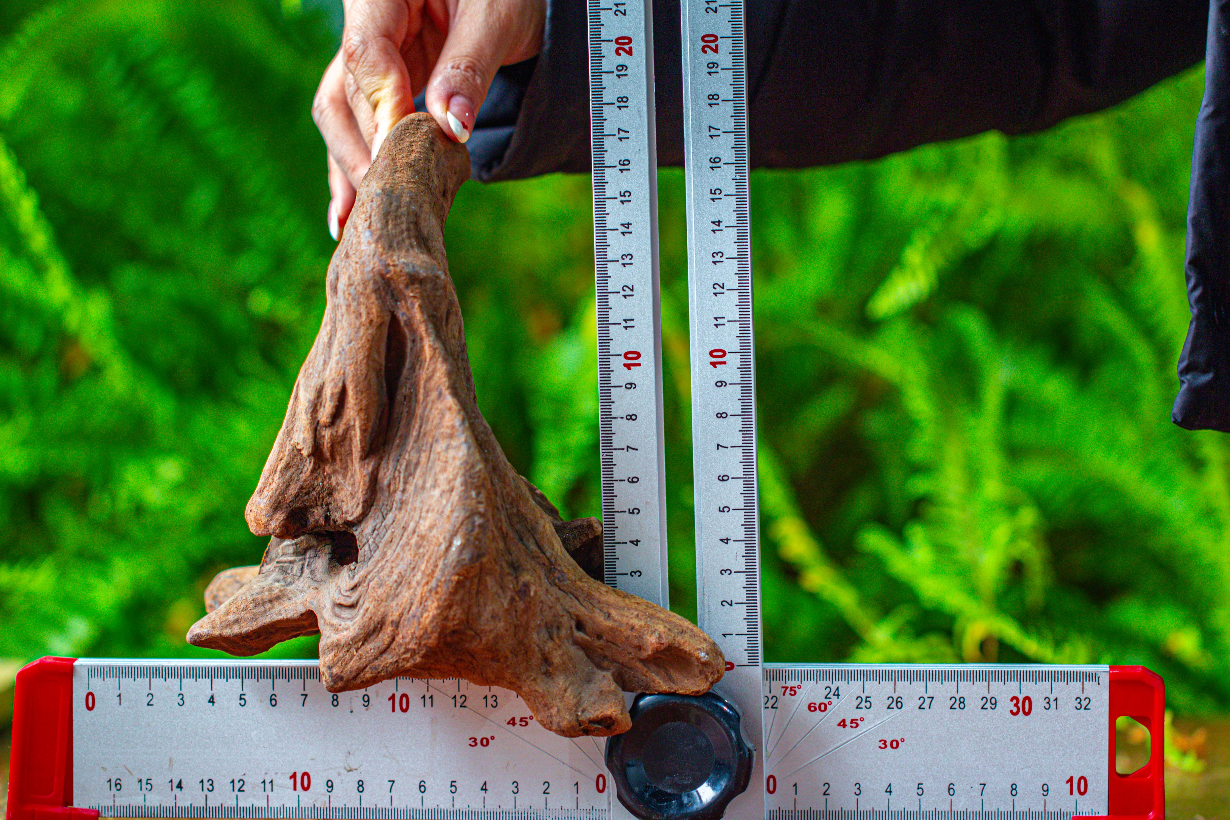 driftwood for moss terrarium, miniature, micro landscape,TS009 - NCYPgarden