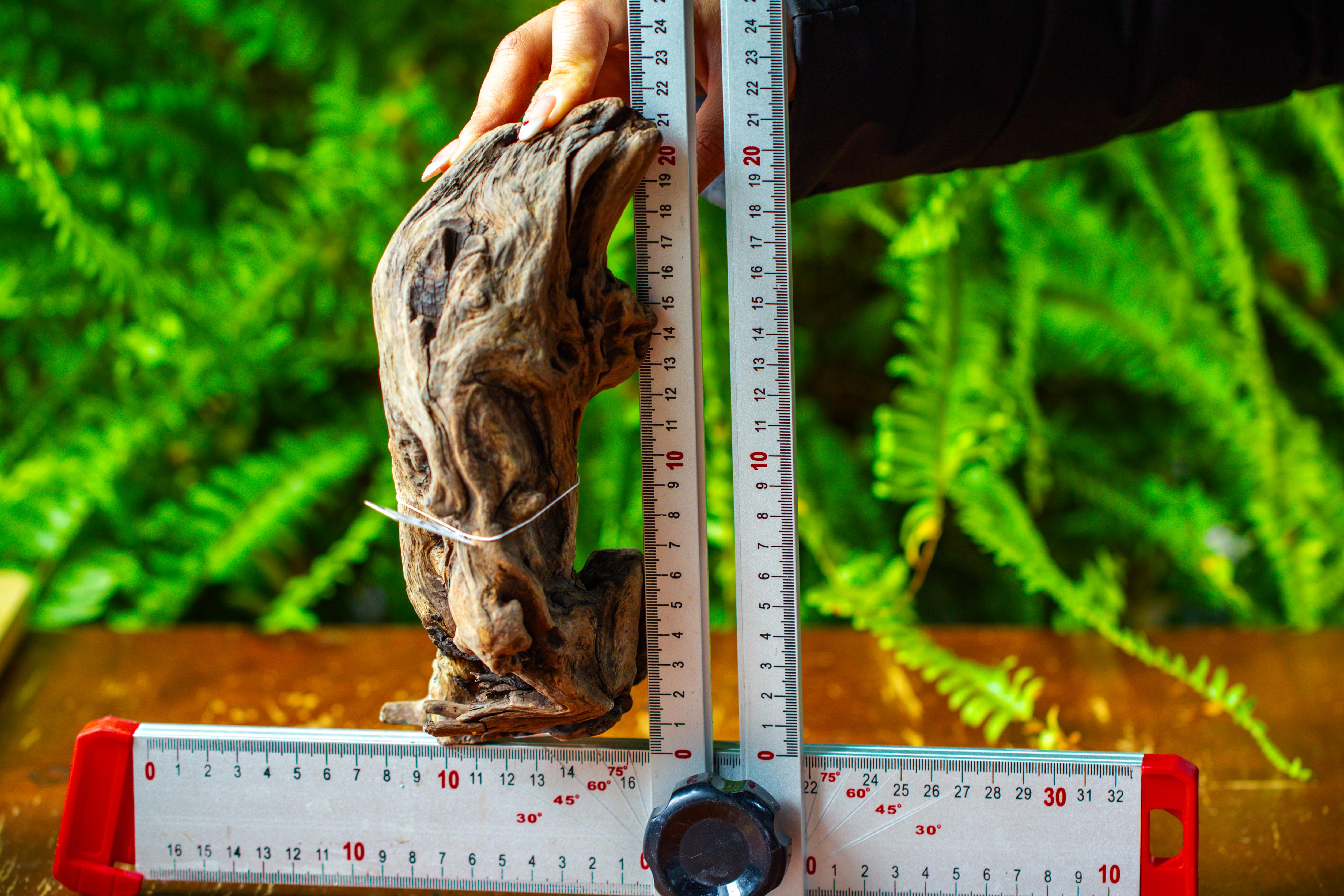 driftwood for moss terrarium, miniature, micro landscape,TS012 - NCYPgarden