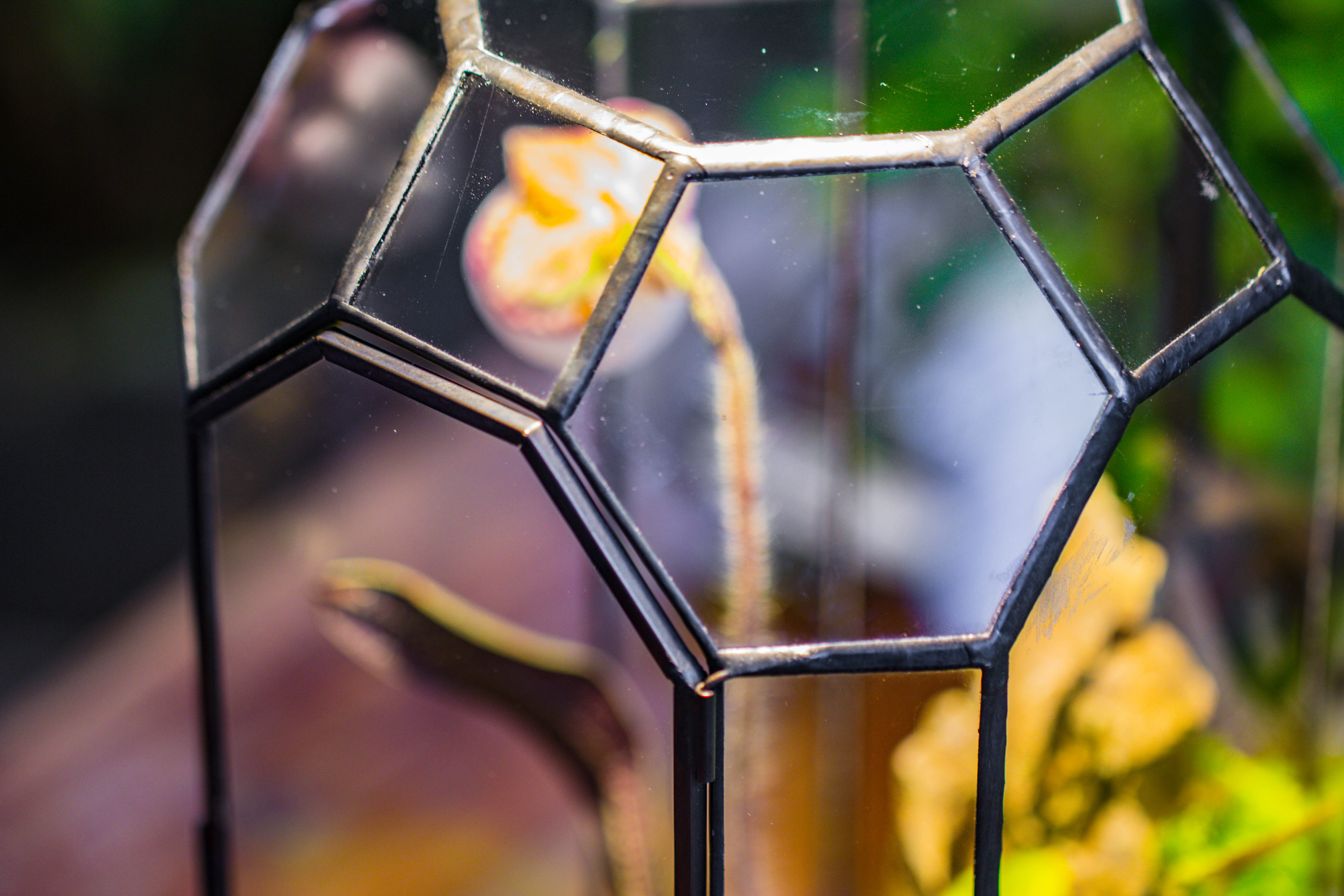 Vintage Tall Octagon Geometric Tin Glass Terrarium , 12.6" , close, suitable for tall plants, orchid, small begonia Pitcher, Micro landscape    -with warm light set - NCYPgarden