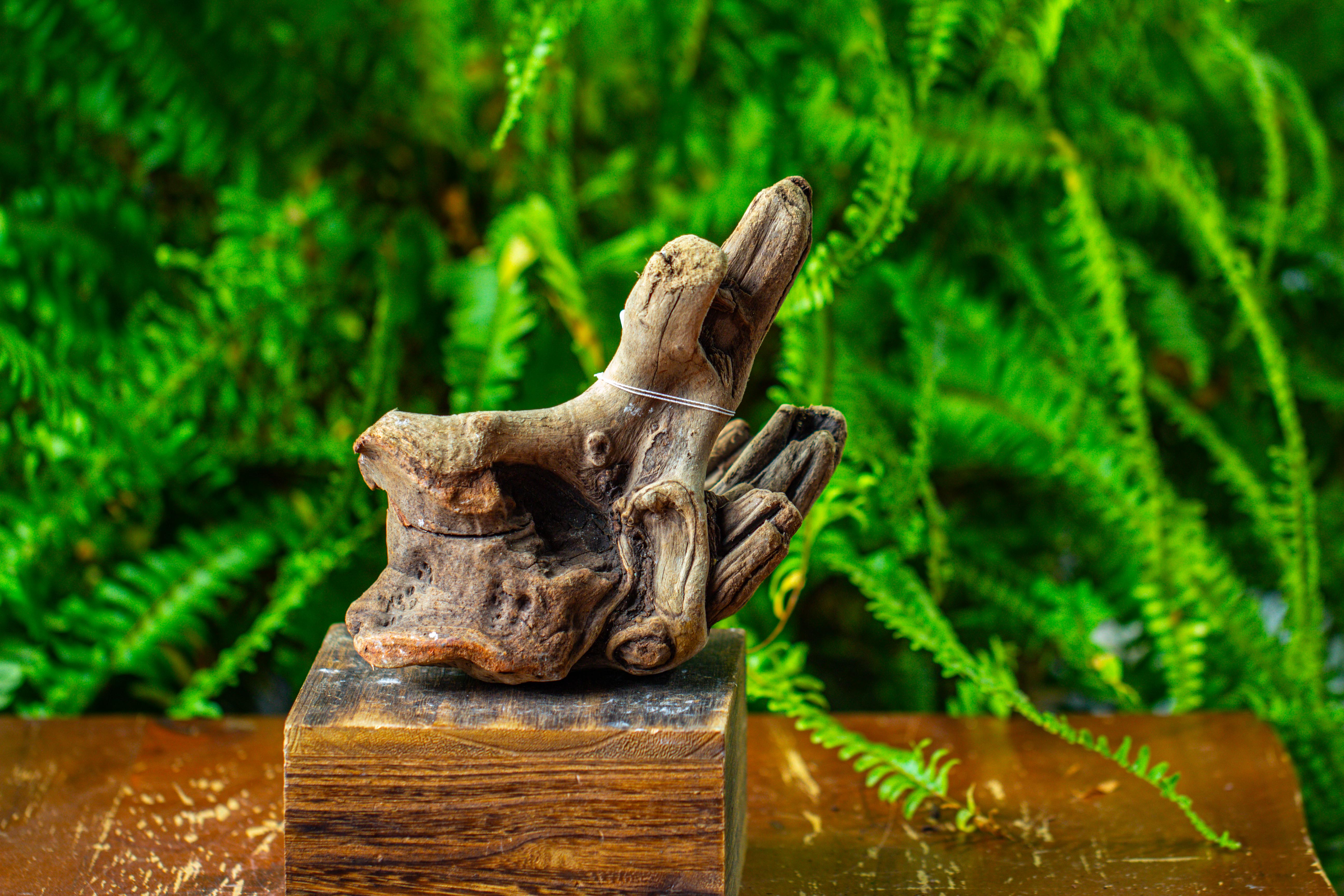 driftwood for moss terrarium, miniature, micro landscape,TS006 - NCYPgarden