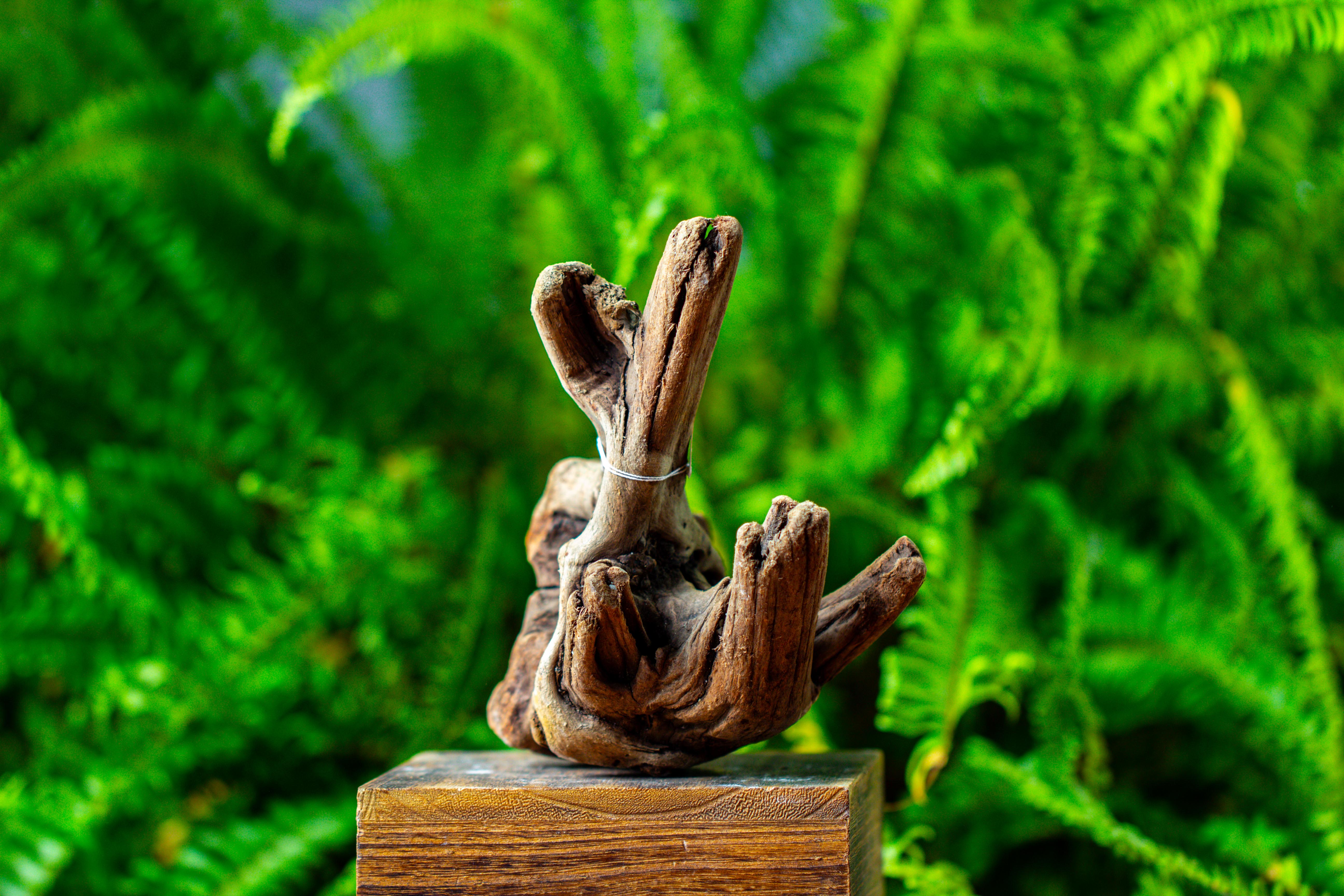 driftwood for moss terrarium, miniature, micro landscape,TS006 - NCYPgarden