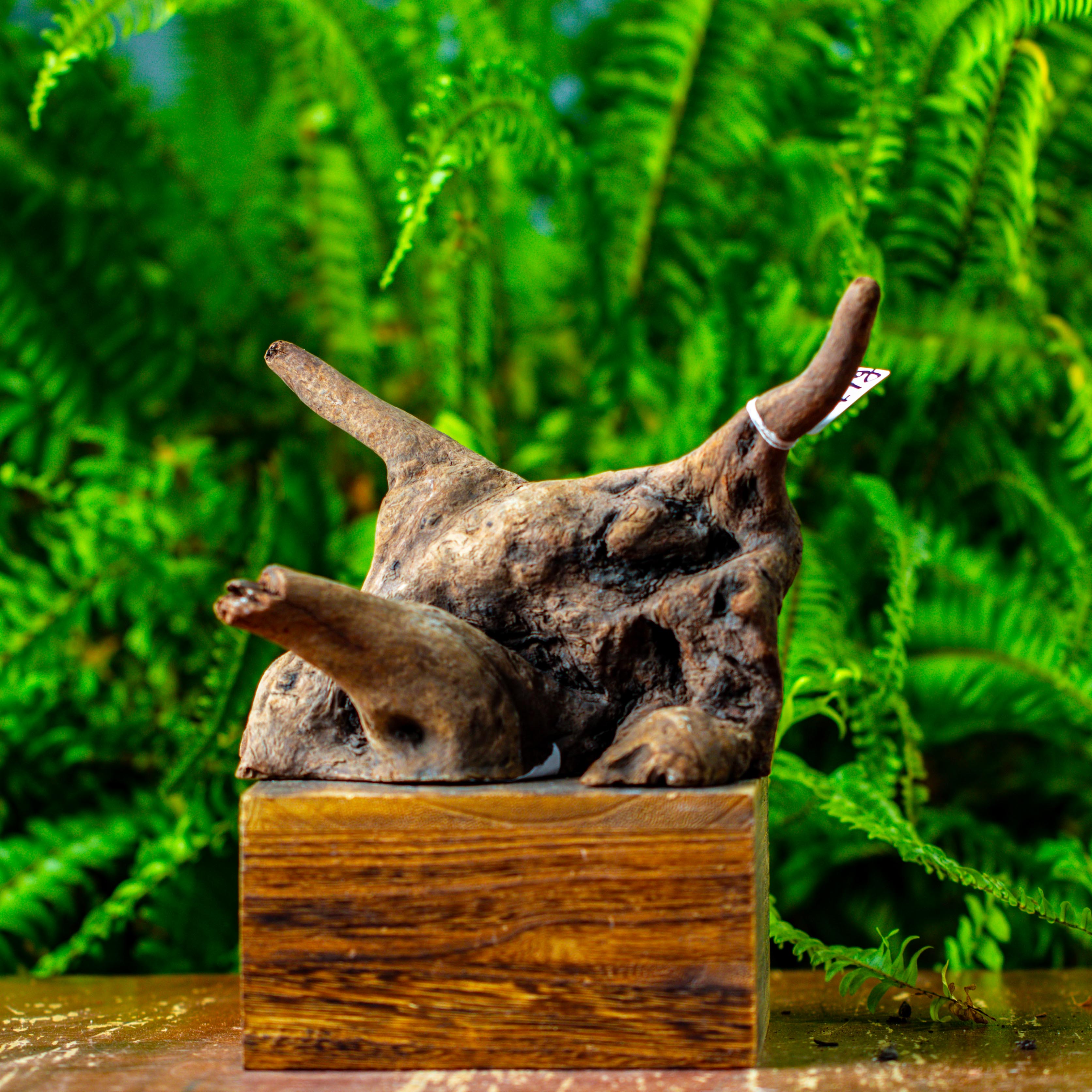 driftwood for moss terrarium, miniature, micro landscape,TS004 - NCYPgarden