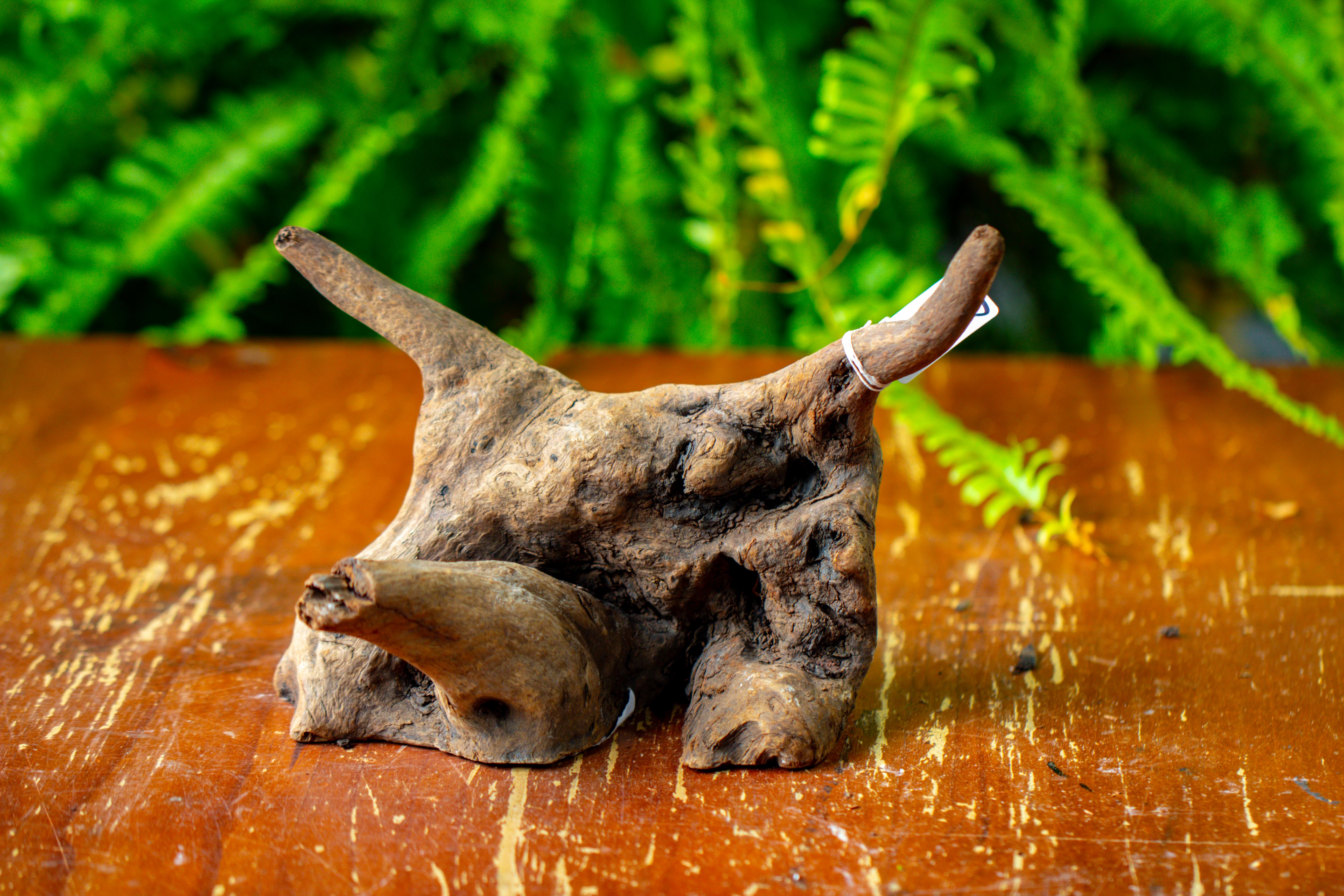 driftwood for moss terrarium, miniature, micro landscape,TS004 - NCYPgarden