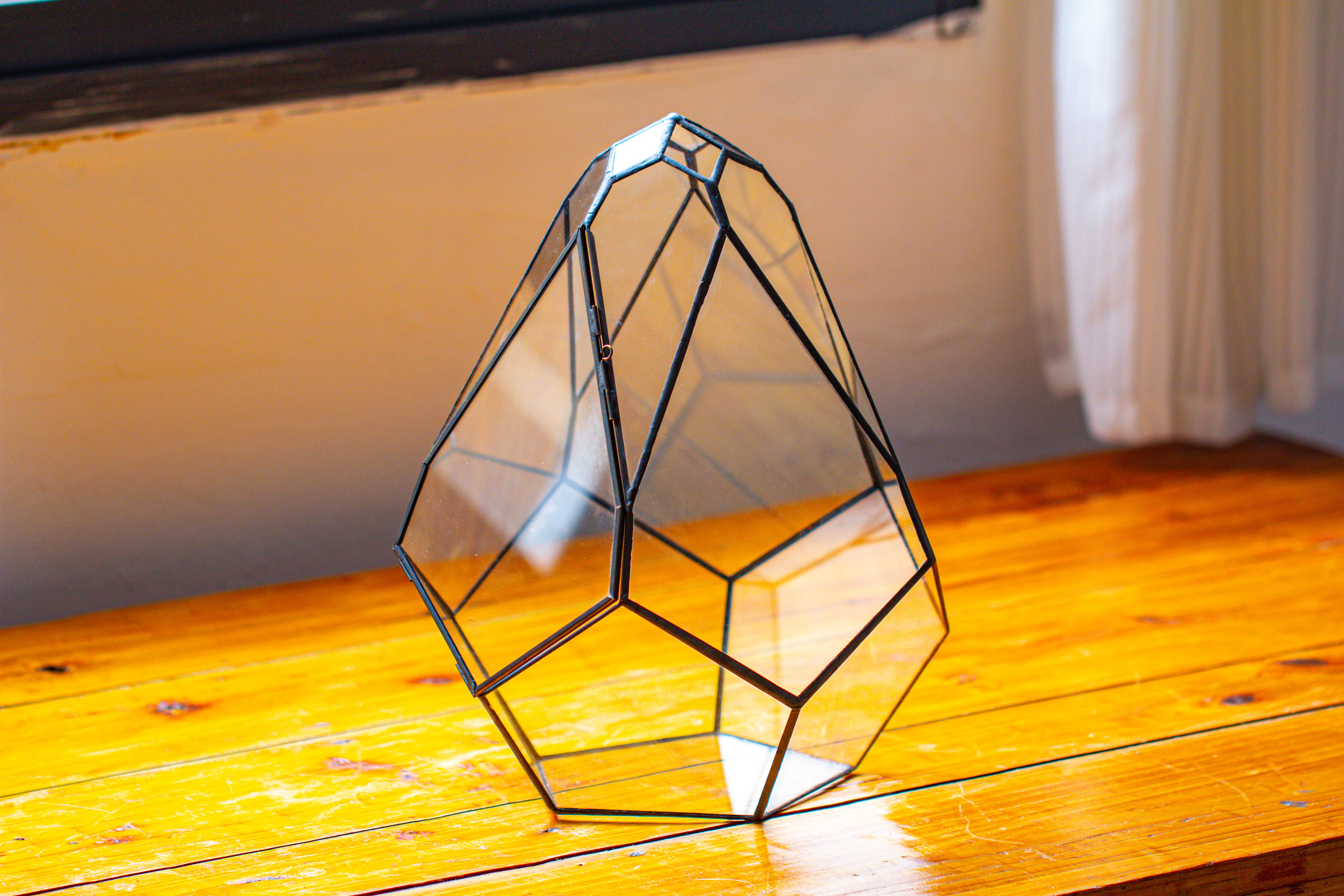 Propagation Station 13" Large Teardrop Geometric Terrarium, Close, with door - NCYPgarden