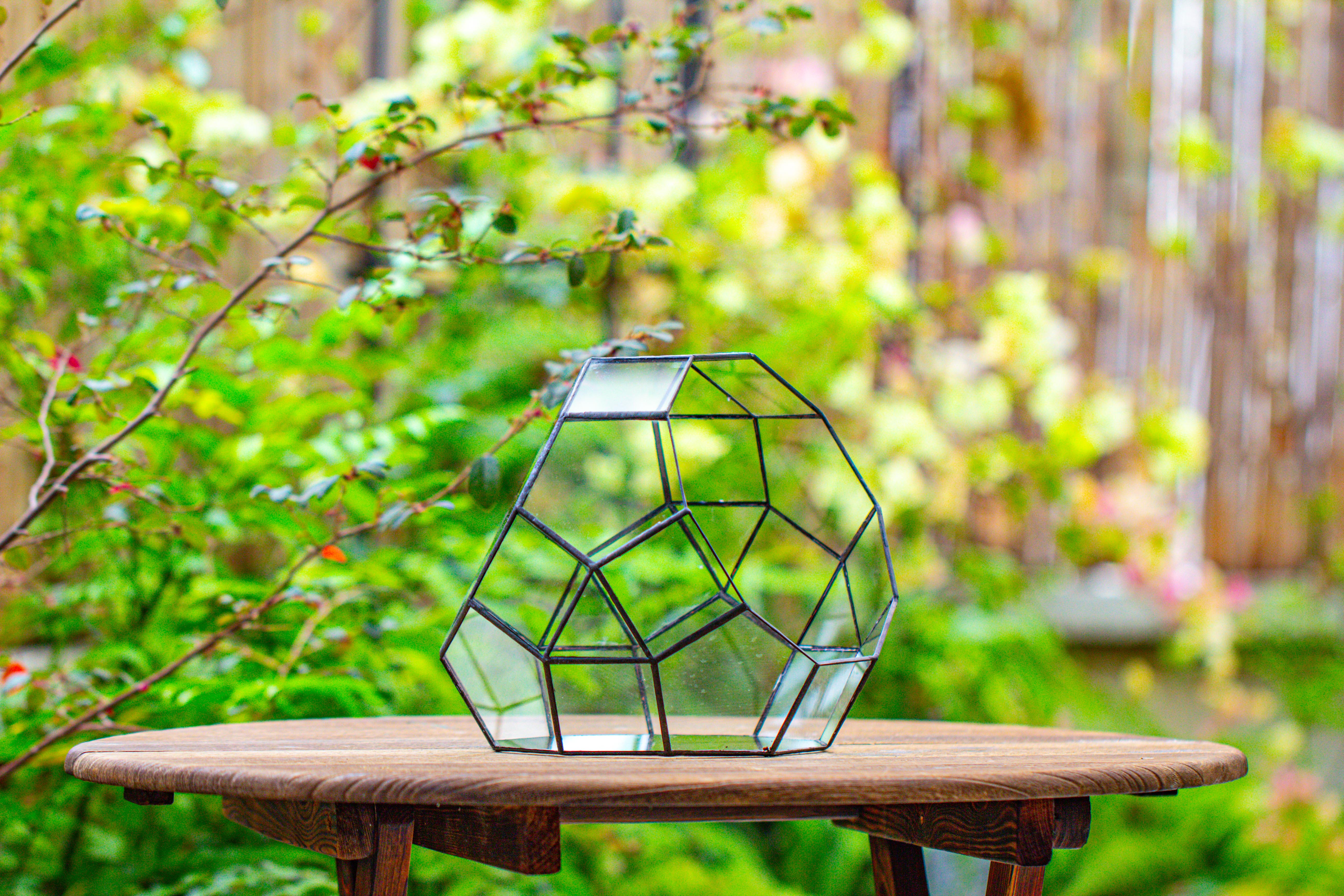 Glass Geometric Moon Terrarium,  Open - NCYPgarden