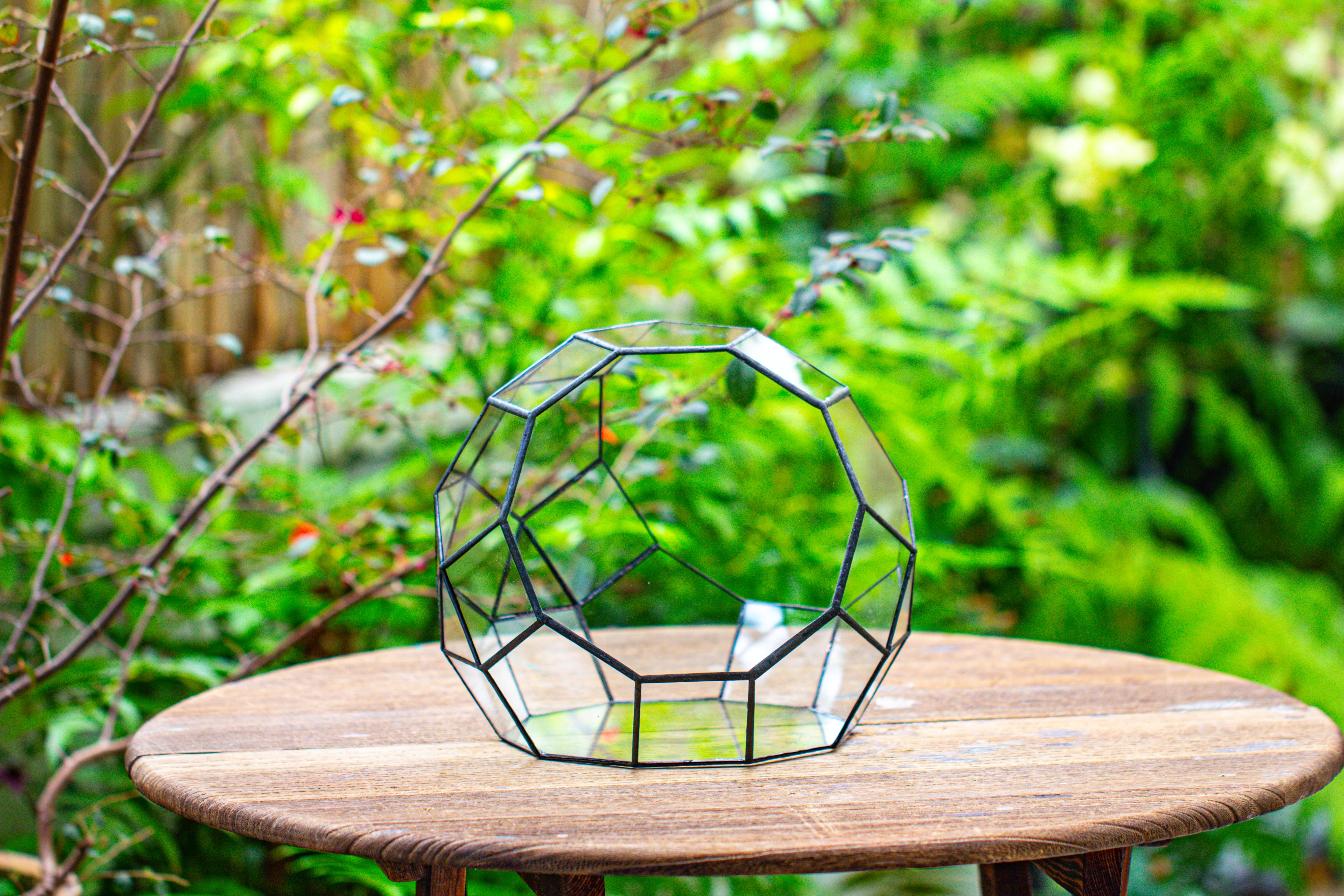 Glass Geometric Moon Terrarium,  Open - NCYPgarden