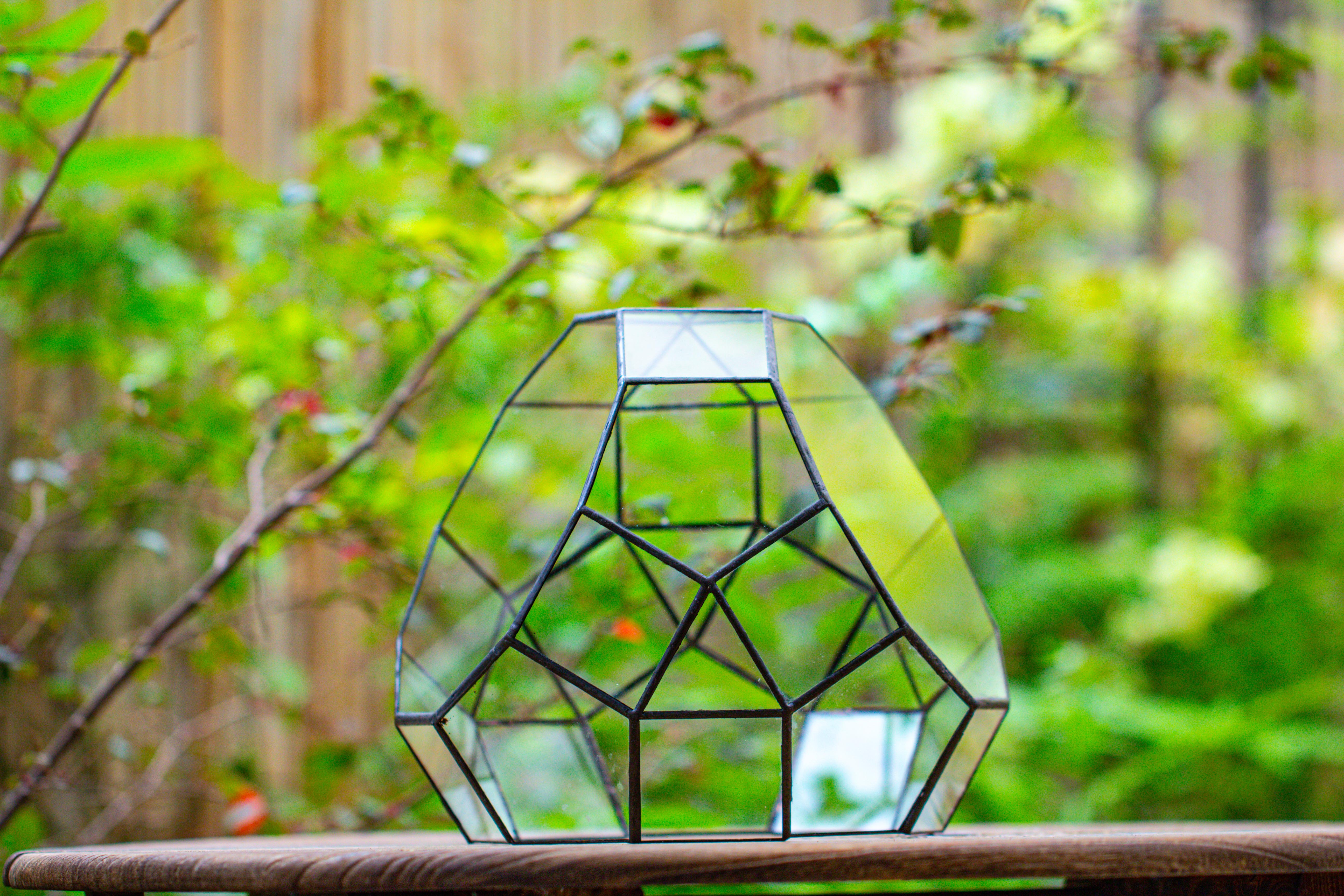 Glass Geometric Moon Terrarium,  Open - NCYPgarden