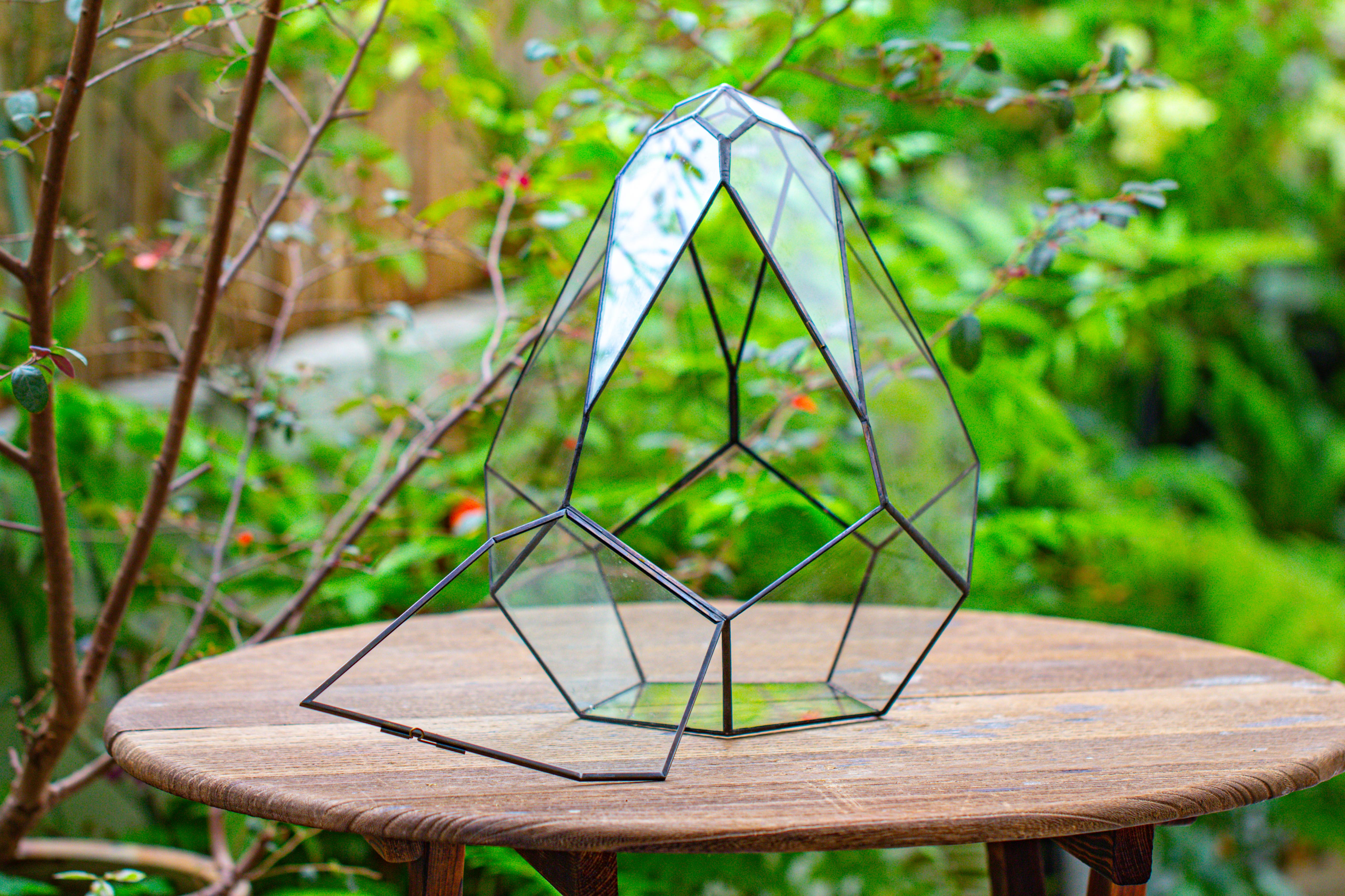 Propagation Station 13" Large Teardrop Geometric Terrarium, Close, with door - NCYPgarden