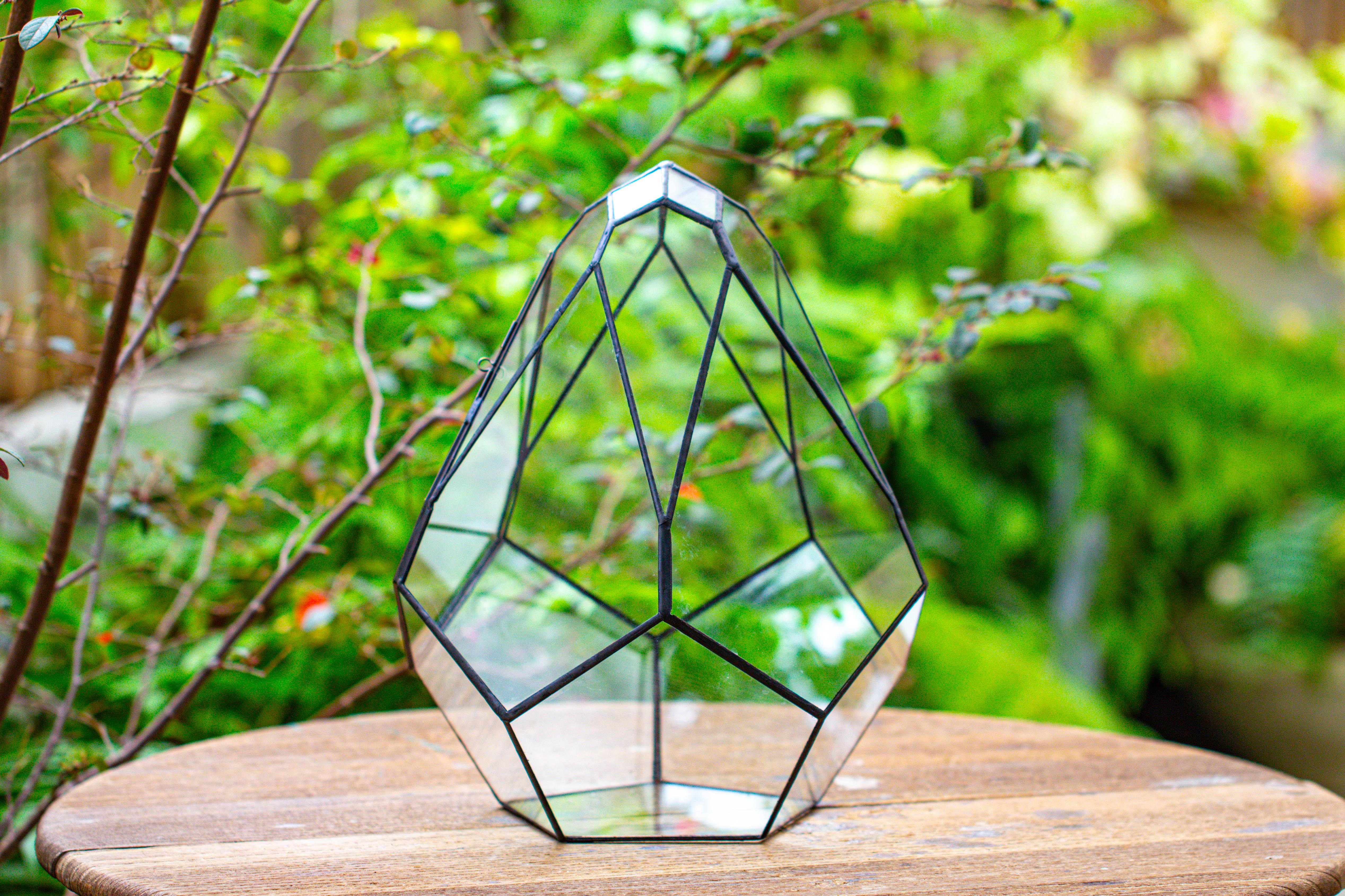 Propagation Station 13" Large Teardrop Geometric Terrarium, Close, with door - NCYPgarden