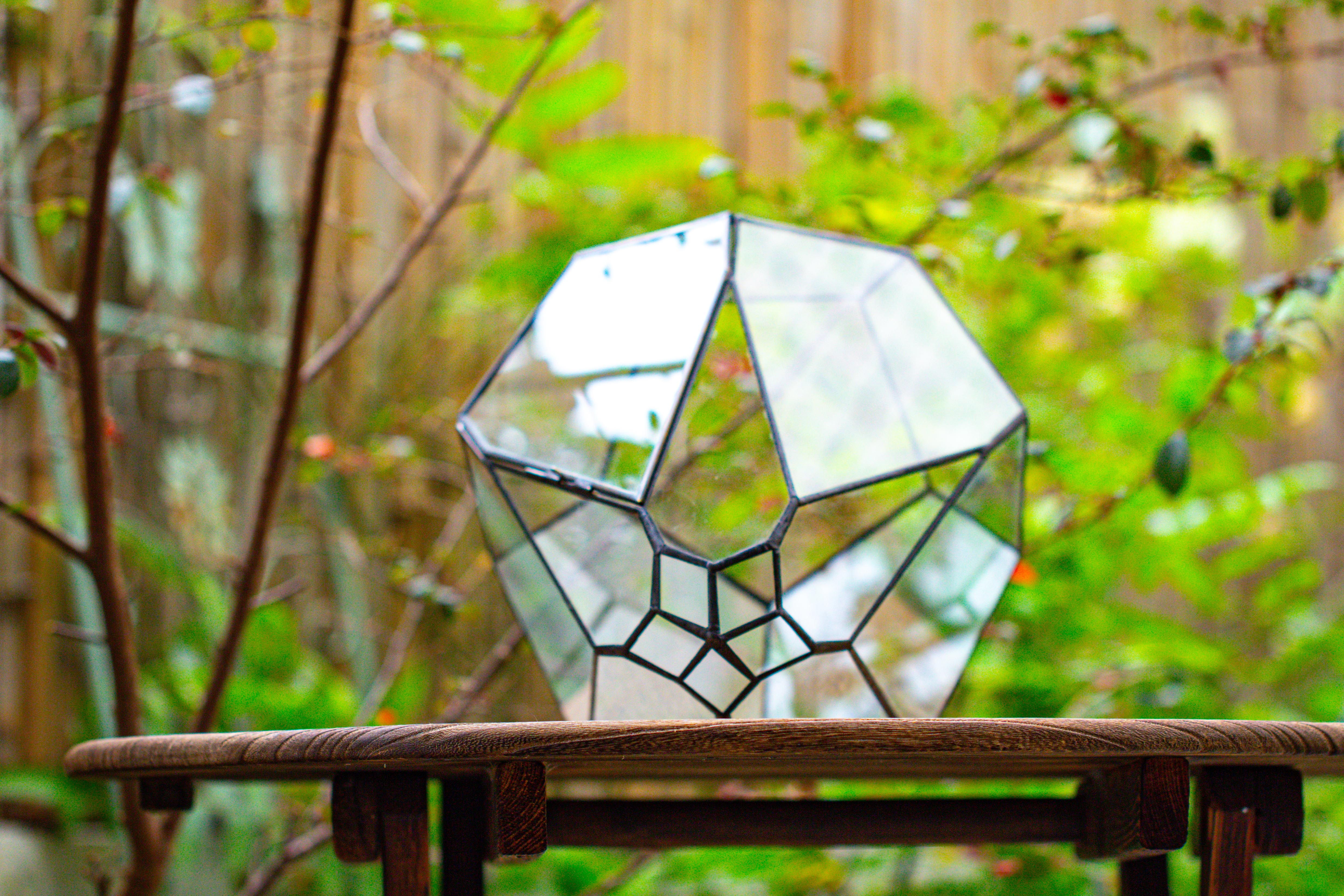 Propagation Station 13" Large Teardrop Geometric Terrarium, Close, with door - NCYPgarden