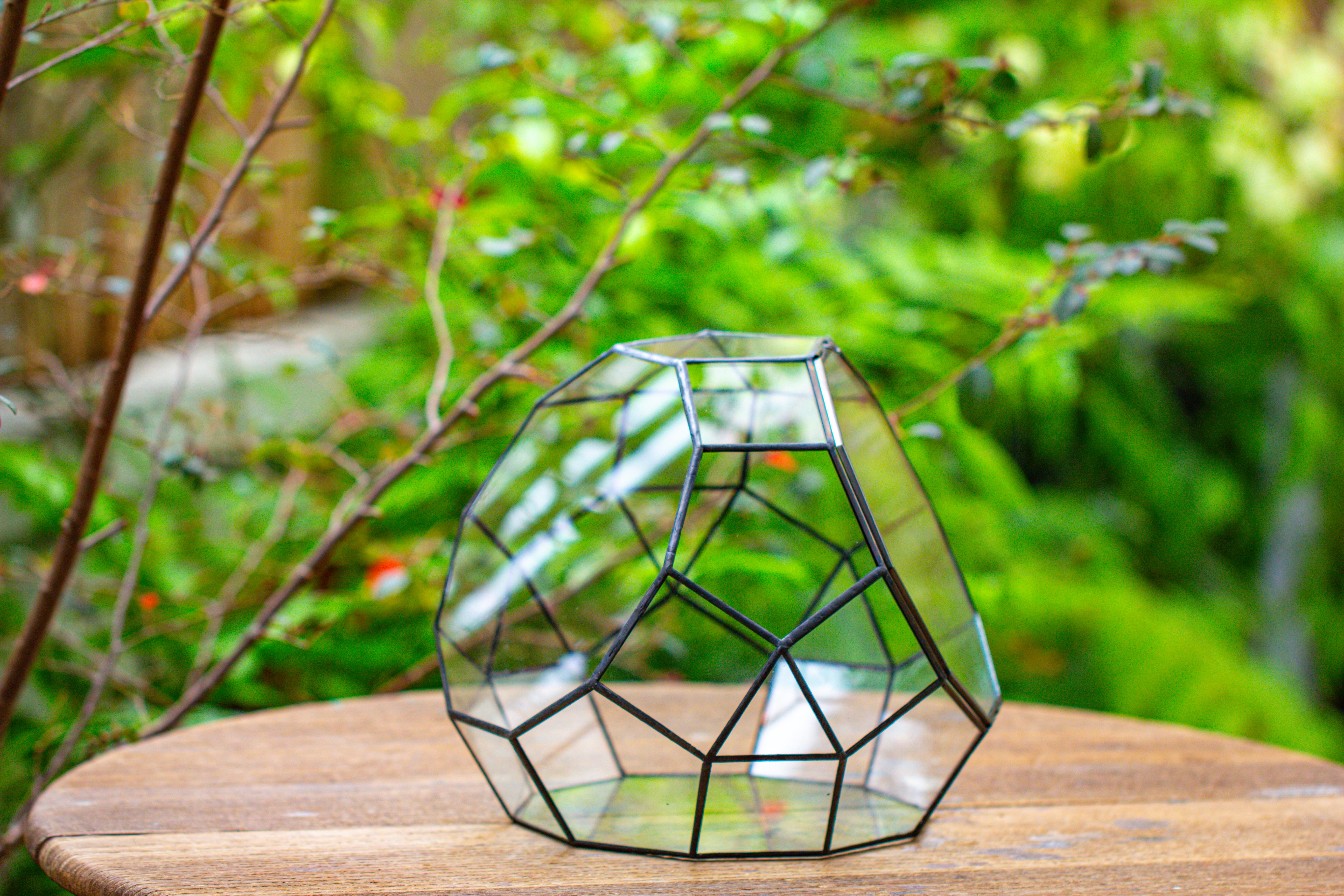 Propagation Station Glass Geometric Moon Terrarium,  Close, with door - NCYPgarden