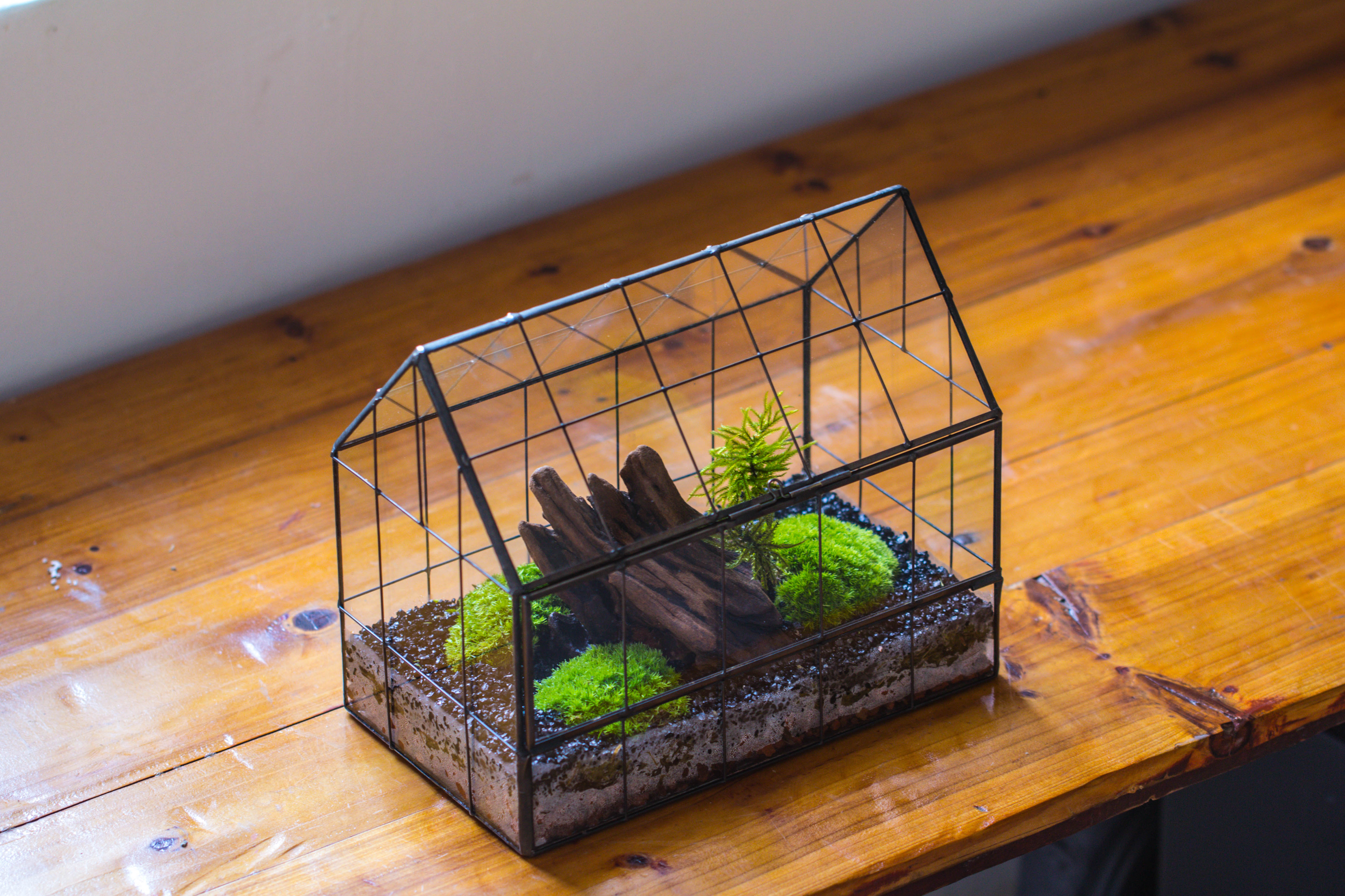 Handmade Glass Terrarium with LED Grow Light Set, Side Door Closed Geometric GreenHouse with Base and Light Set - NCYPgarden