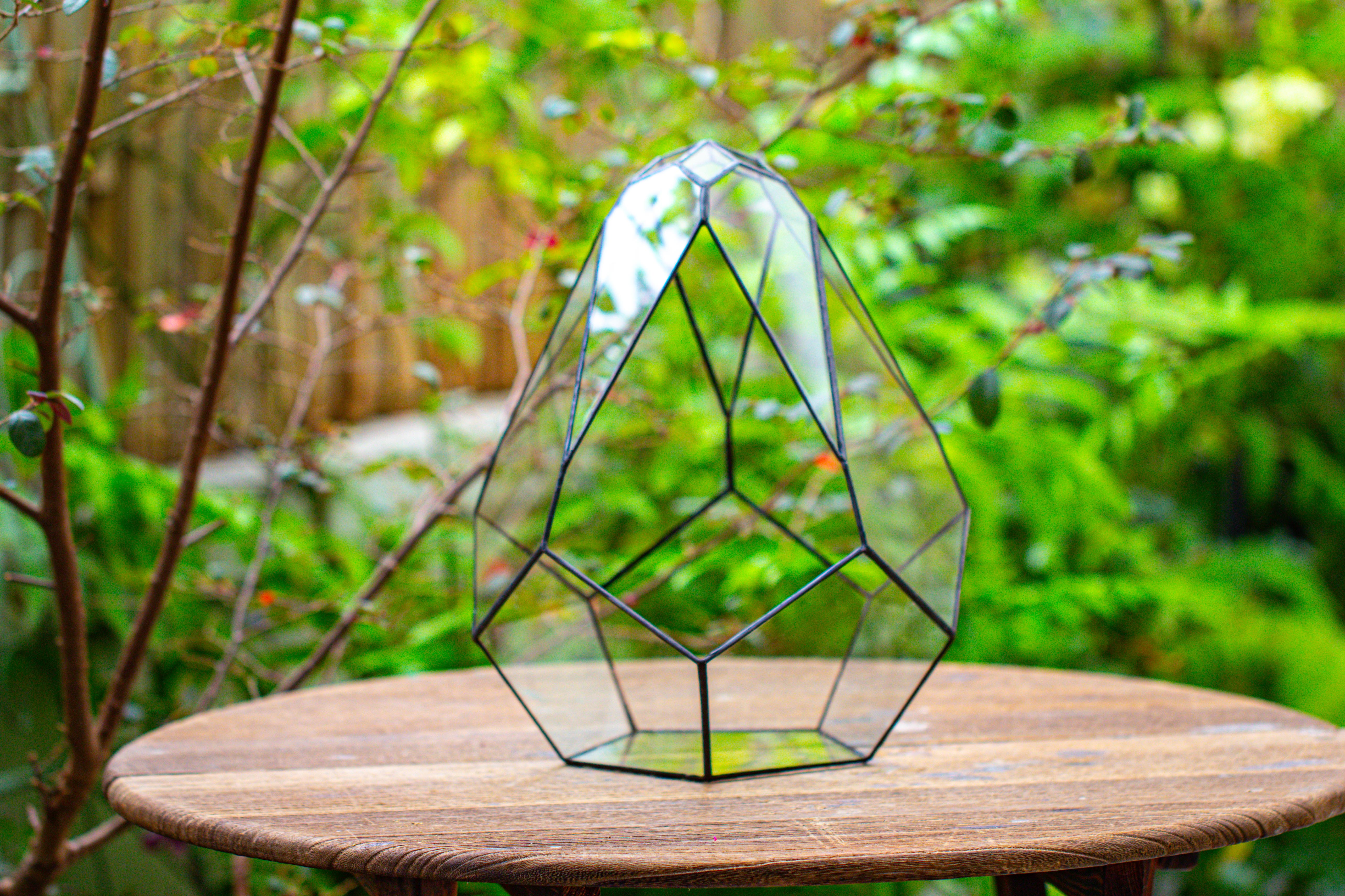 13" Large Teardrop Geometric Terrarium, Open - NCYPgarden