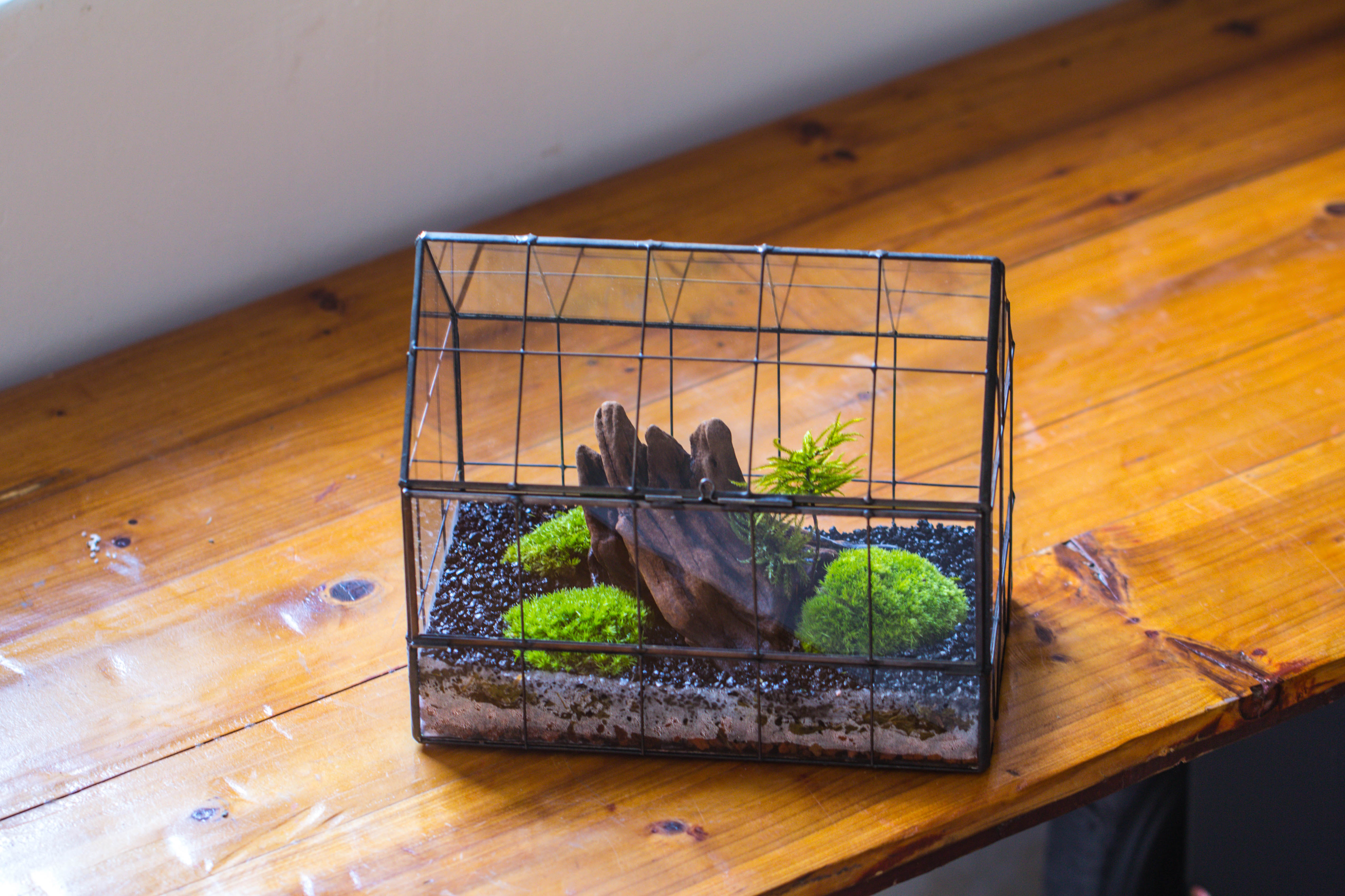 Handmade Glass Terrarium with LED Grow Light Set, Side Door Closed Geometric GreenHouse with Base and Light Set - NCYPgarden