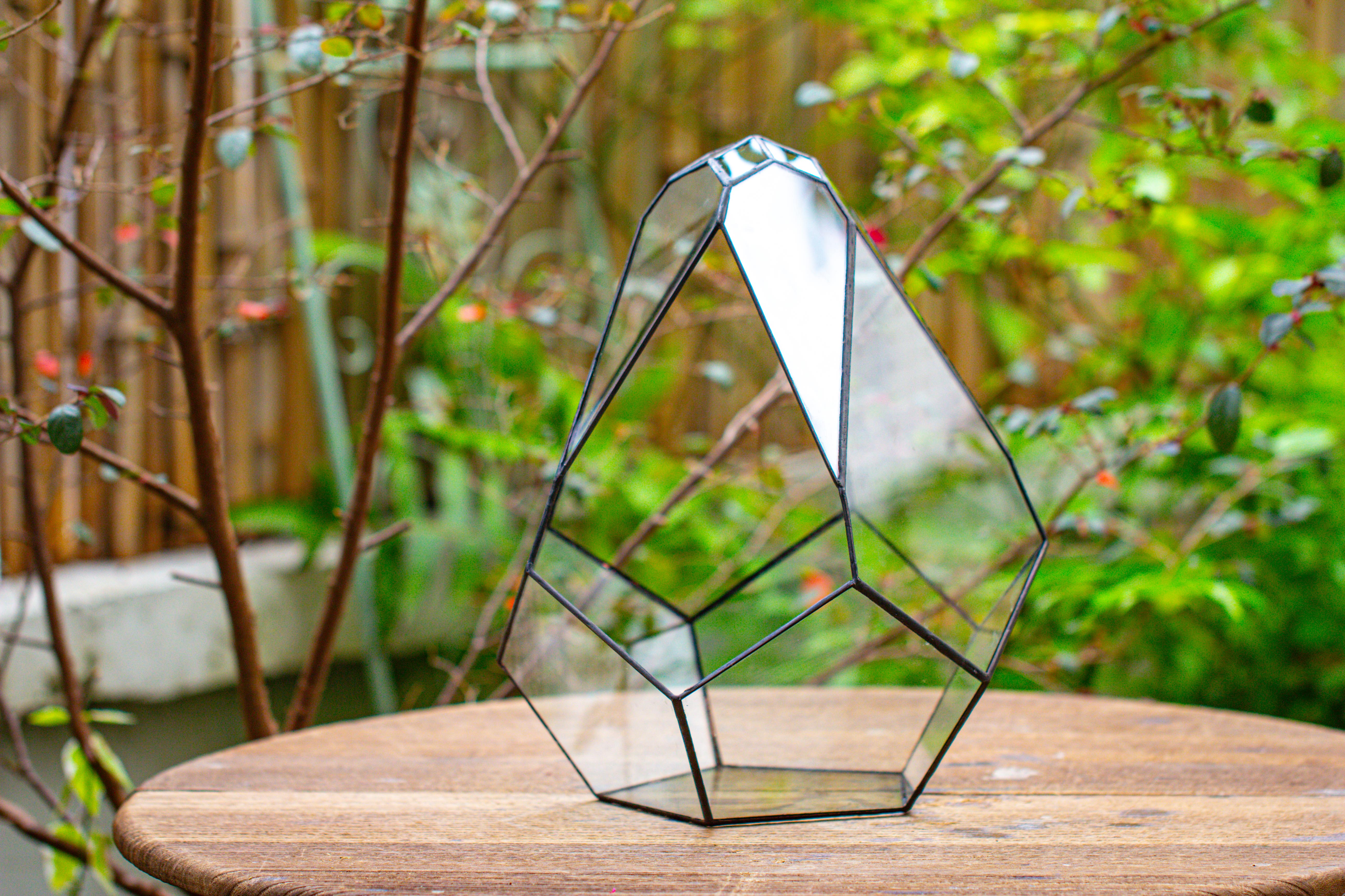 13" Large Teardrop Geometric Terrarium, Open - NCYPgarden