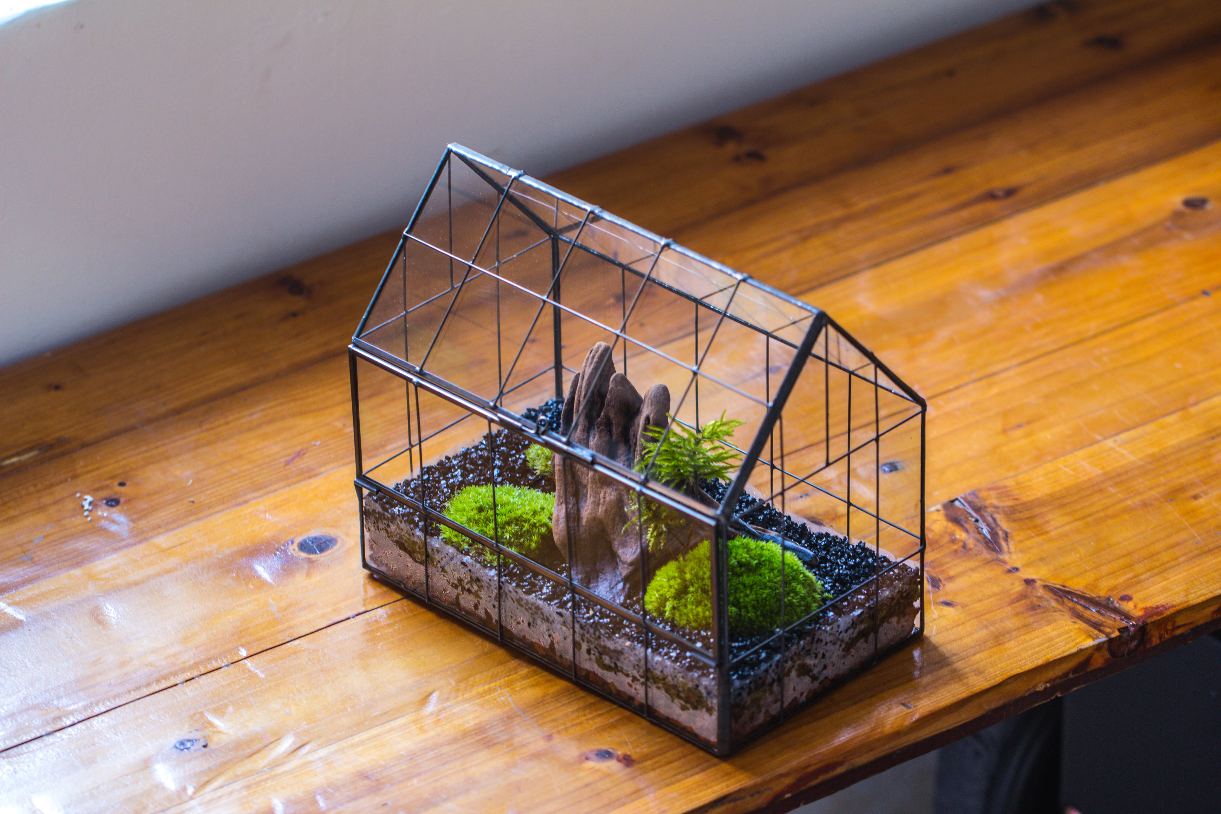 Handmade Glass Terrarium with LED Grow Light Set, Side Door Closed Geometric GreenHouse with Base and Light Set - NCYPgarden