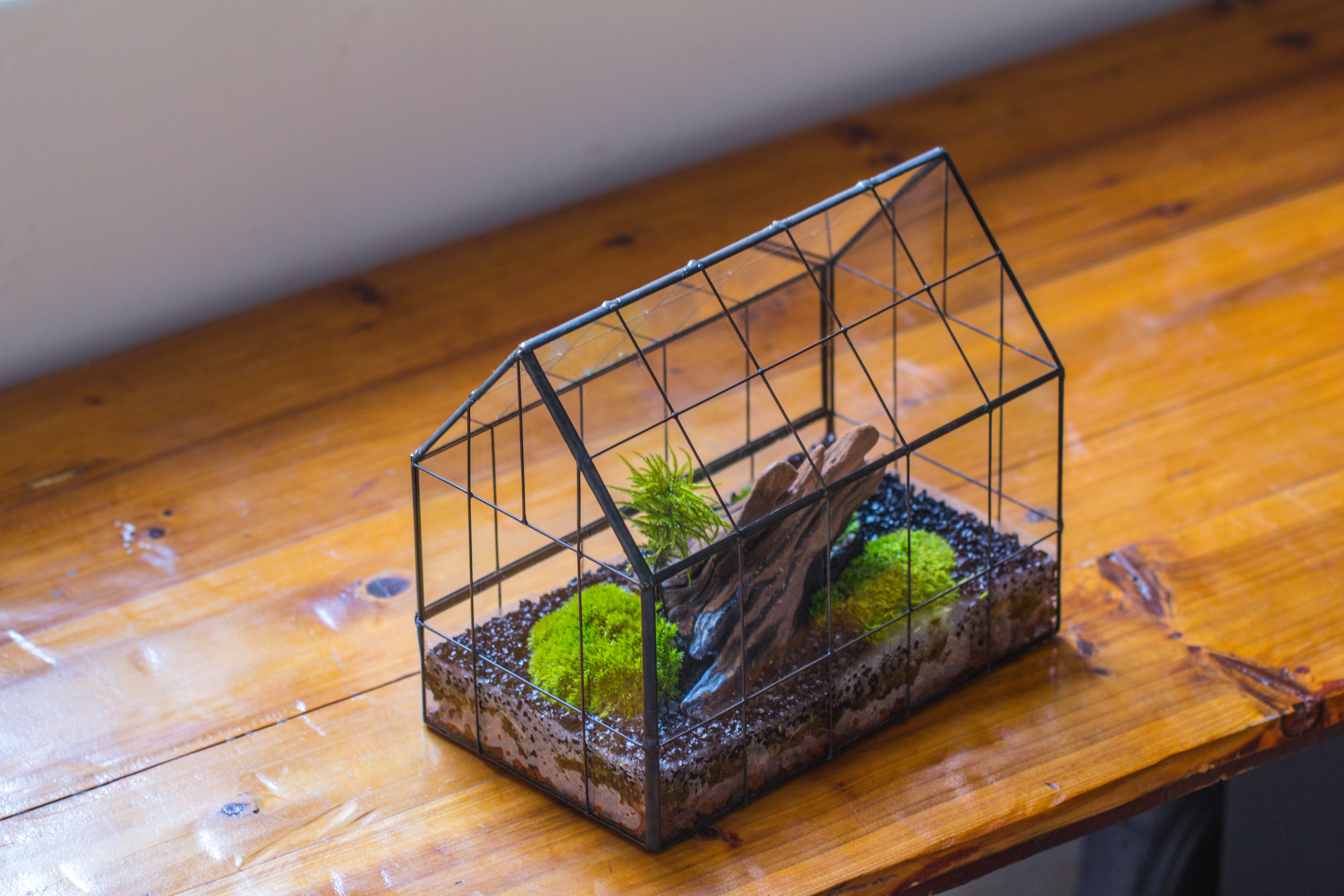 Handmade Glass Terrarium with LED Grow Light Set, Side Door Closed Geometric GreenHouse with Base and Light Set - NCYPgarden
