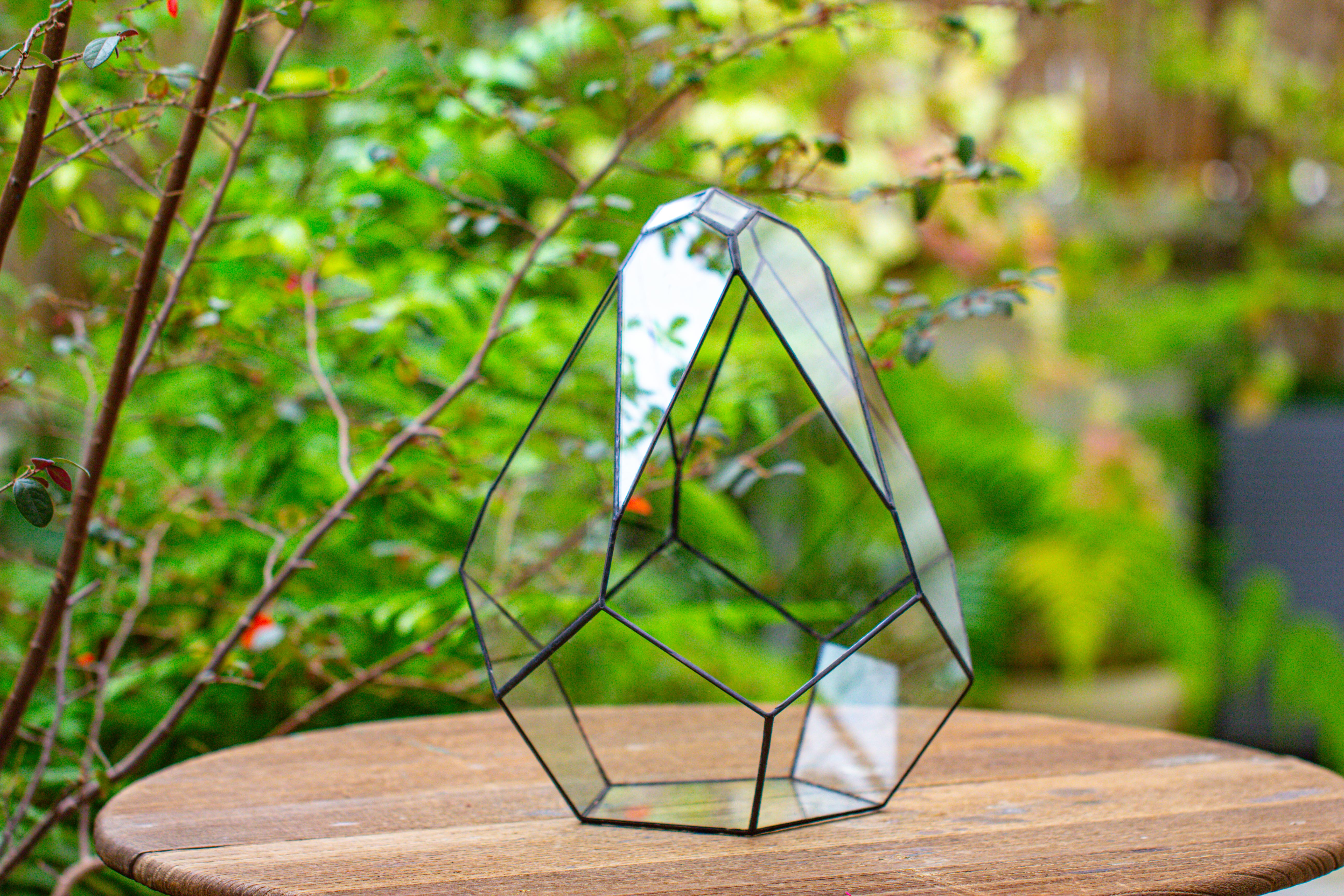 13" Large Teardrop Geometric Terrarium, Open - NCYPgarden
